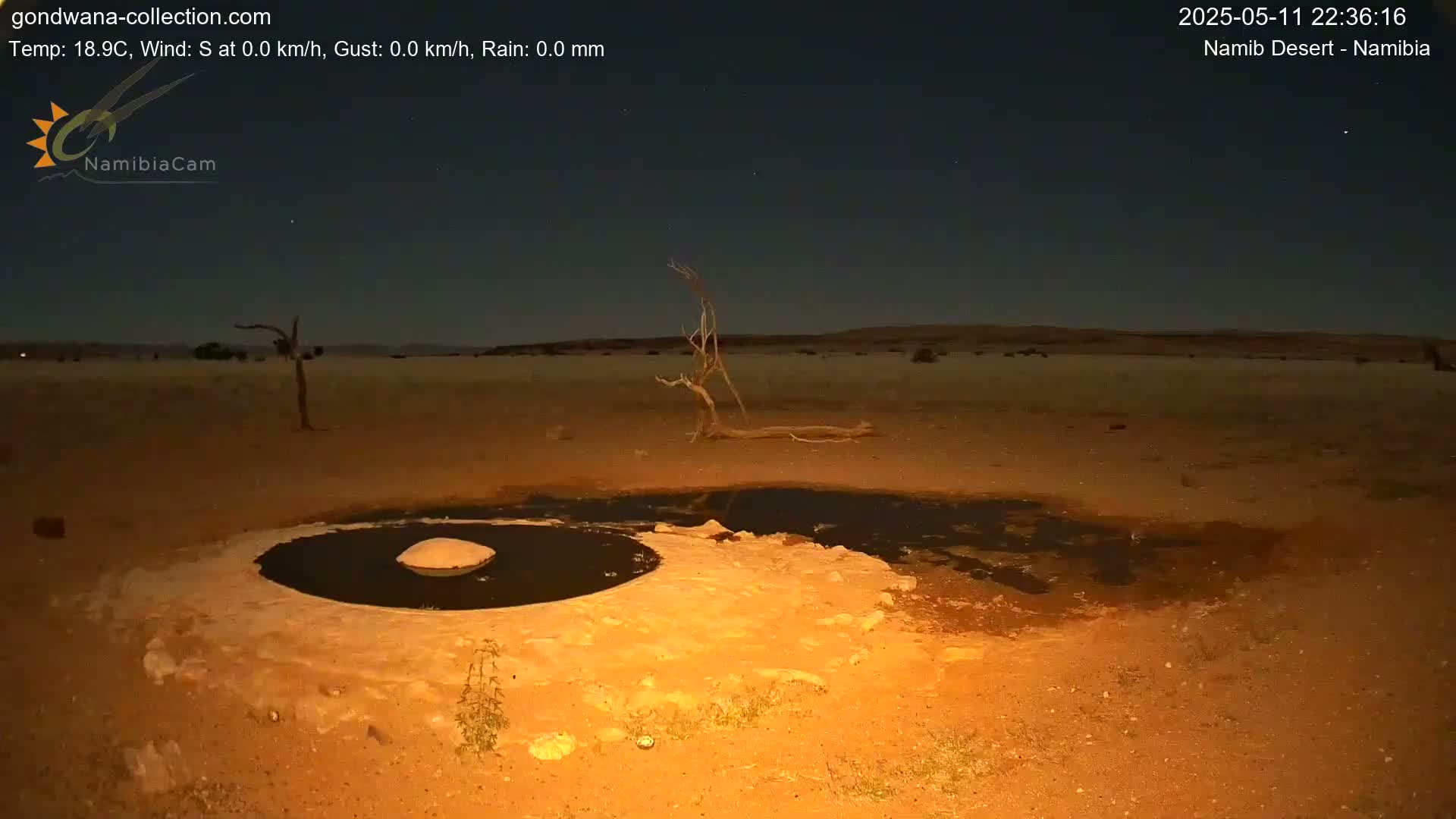 A dark, desert landscape at night shows a small pool of water illuminated by an artificial light source, with a few sparse, dead trees and a rocky, sandy terrain.