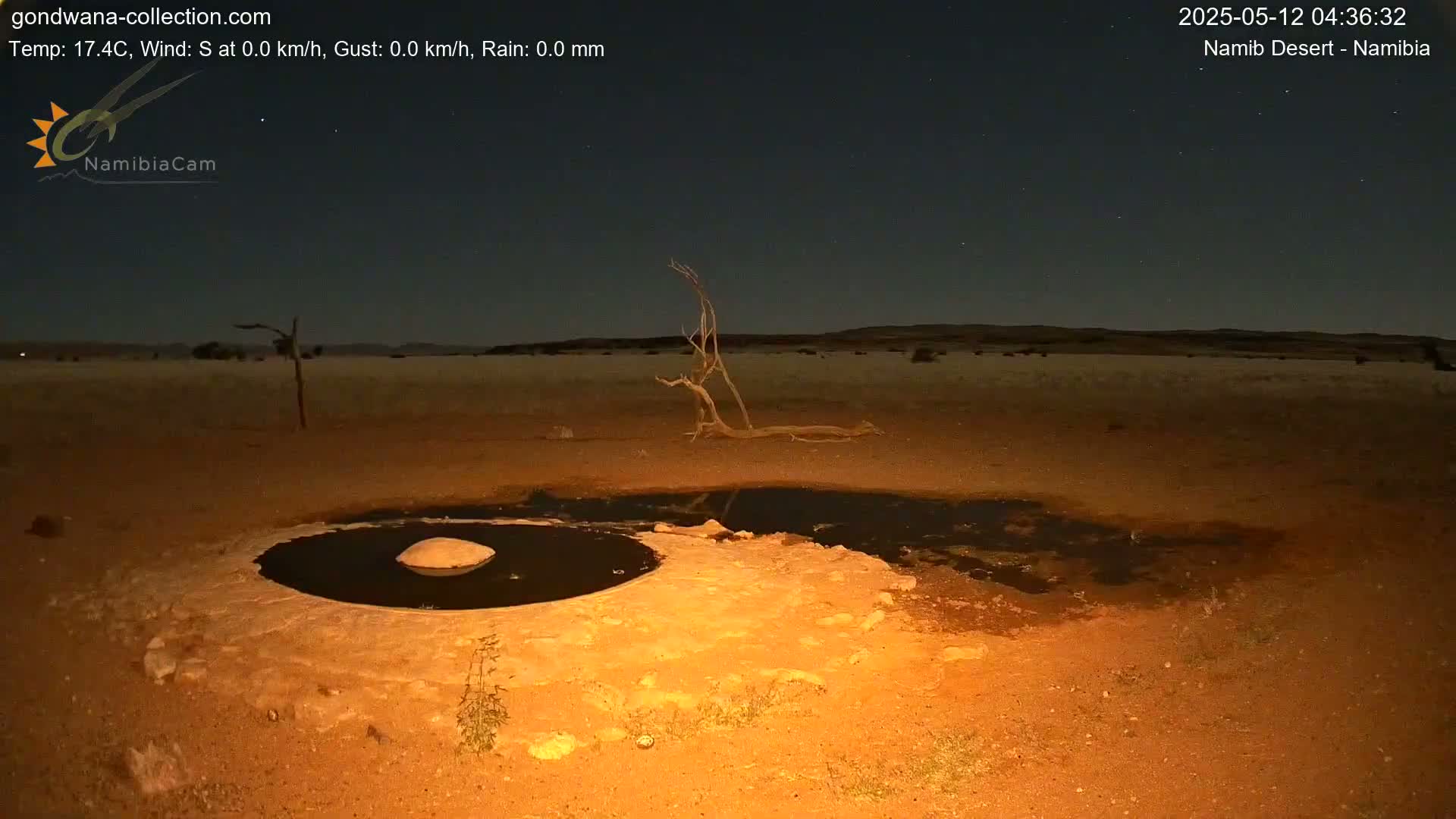 Under a clear, starry night sky, a small, dark pool of water sits in a sandy desert landscape near a dead tree.