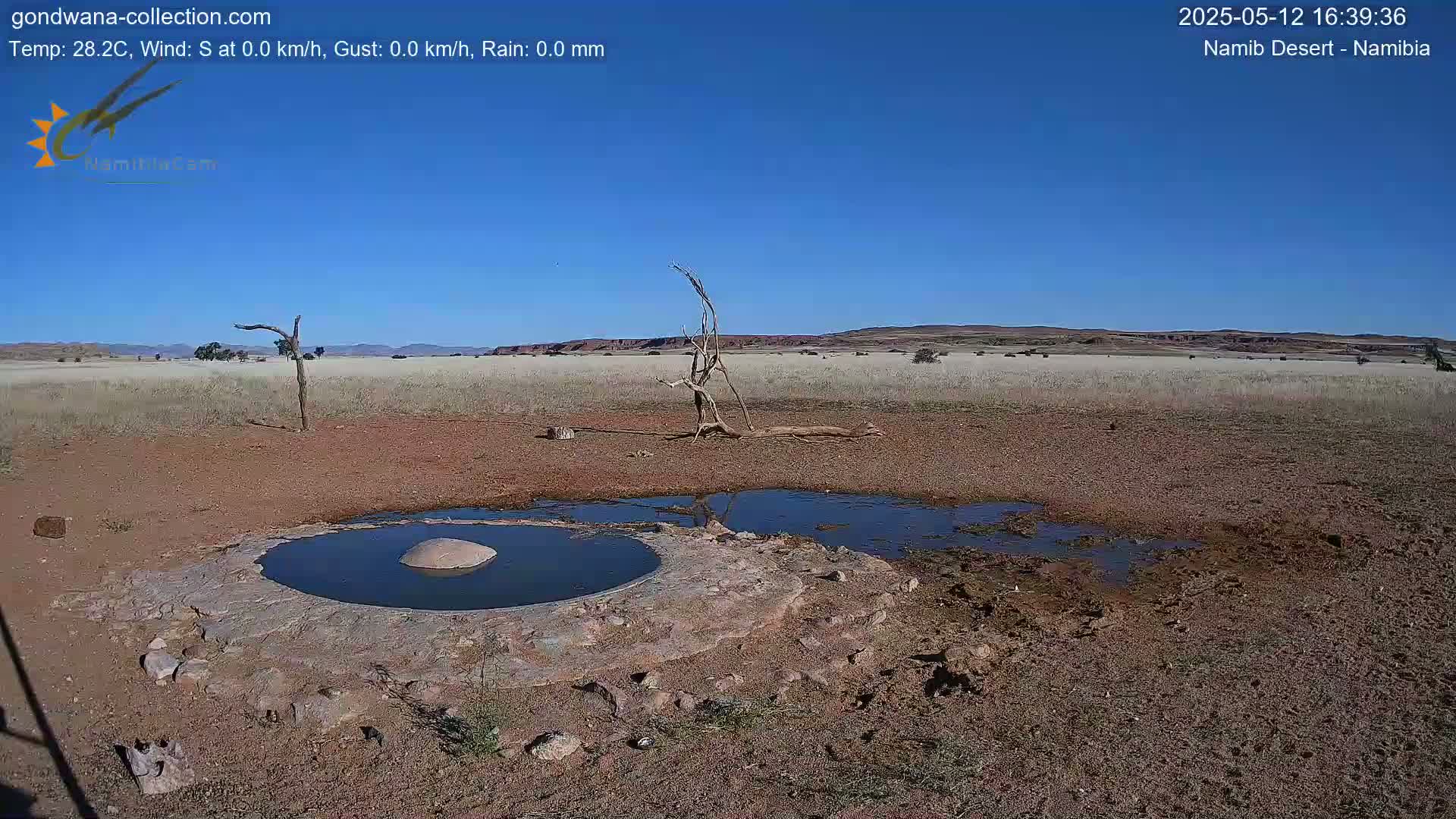 A small, muddy watering hole with a central, darker pool sits in a dry, flat expanse of tan-colored desert under a clear blue sky.
