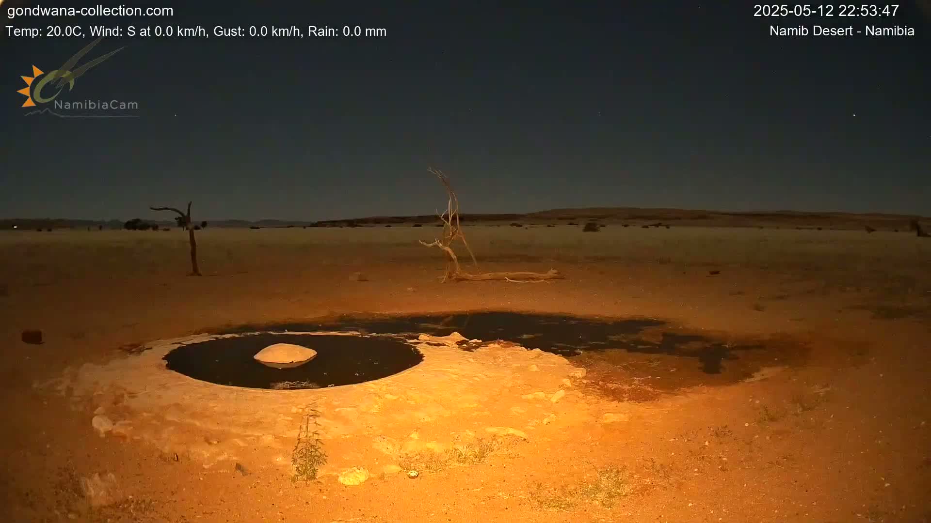 Under a dark night sky, a small pool of water sits in the sandy Namib Desert near a dead tree.