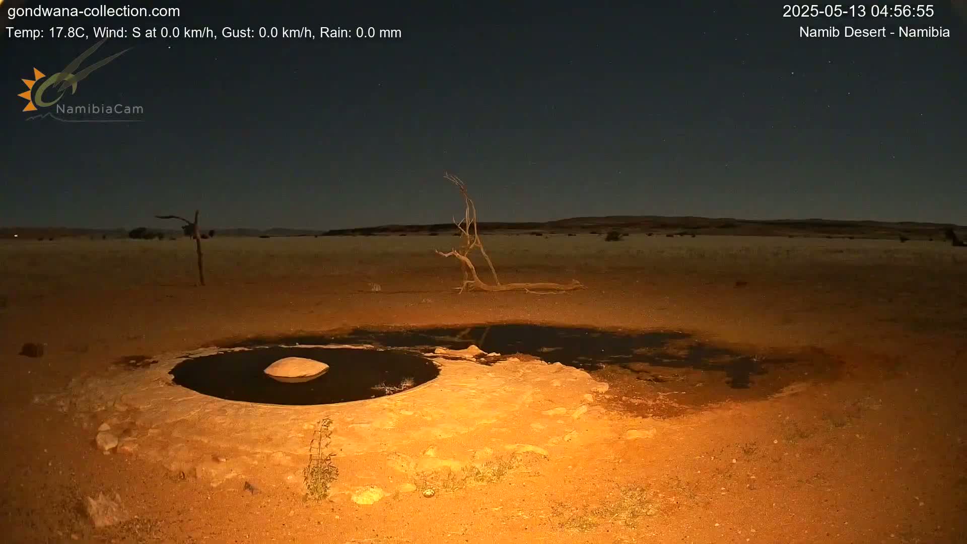 Wild Life in Namib Desert Naukluft National Park Live Cam - Maltahohe, Hardap,  Namibia