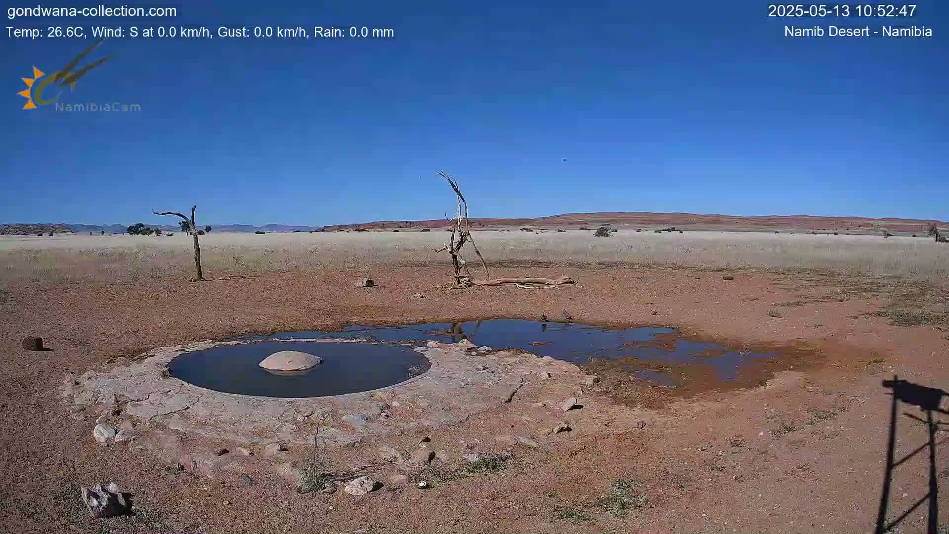 A small, shallow pool of water sits in a dry, reddish-brown landscape under a clear blue sky.