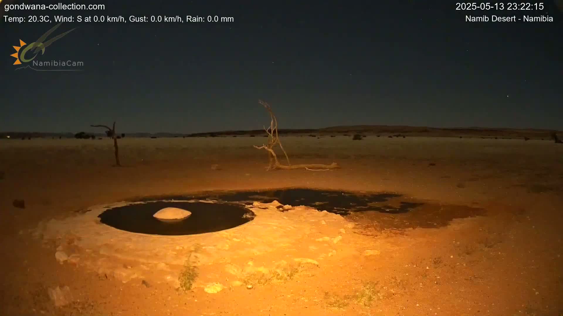 Under a clear, dark night sky, a small, dark pool of water sits in a sandy desert landscape near a few dead trees.