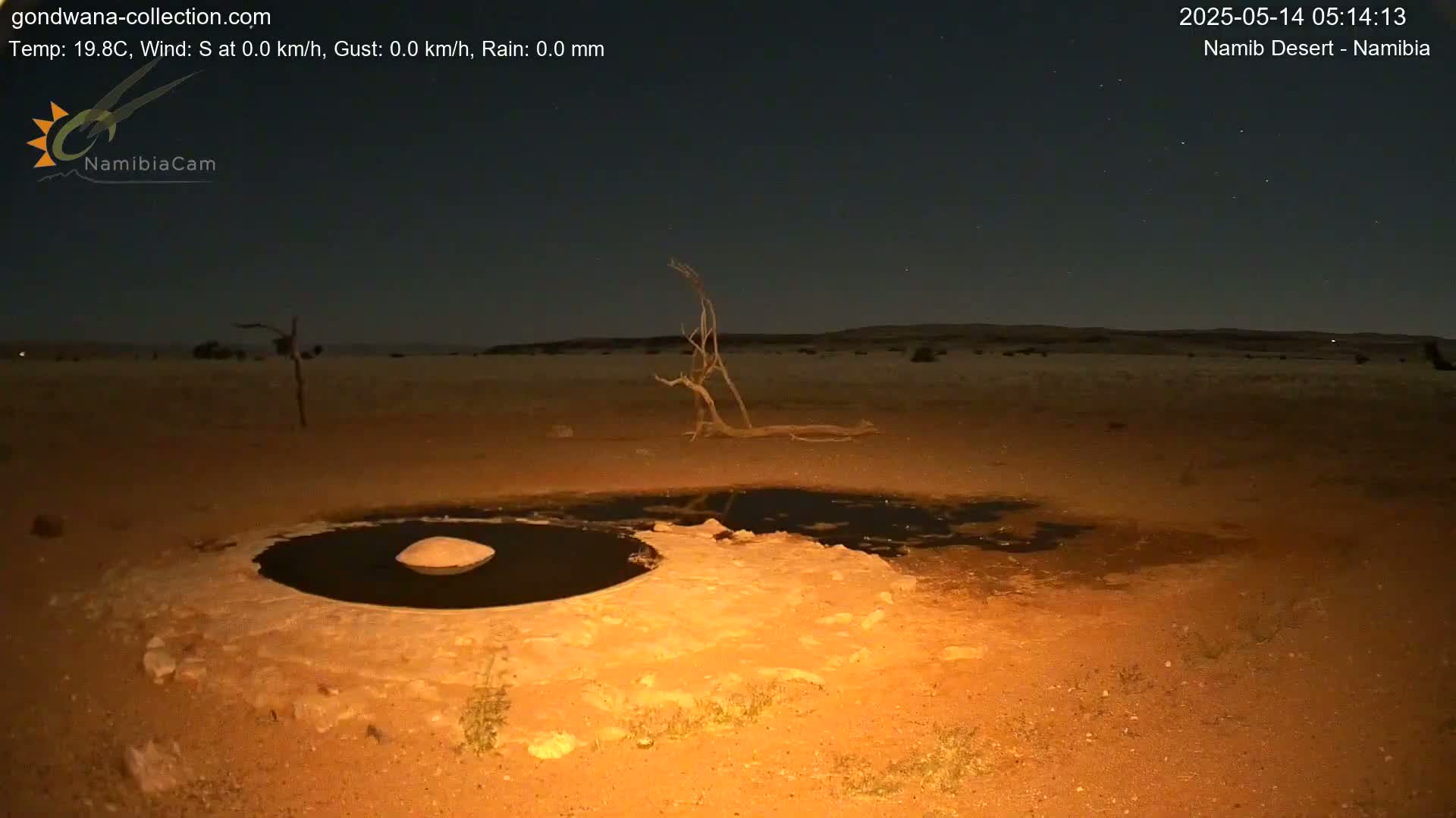 Wild Life in Namib Desert Naukluft National Park Live Cam - Maltahohe, Hardap,  Namibia