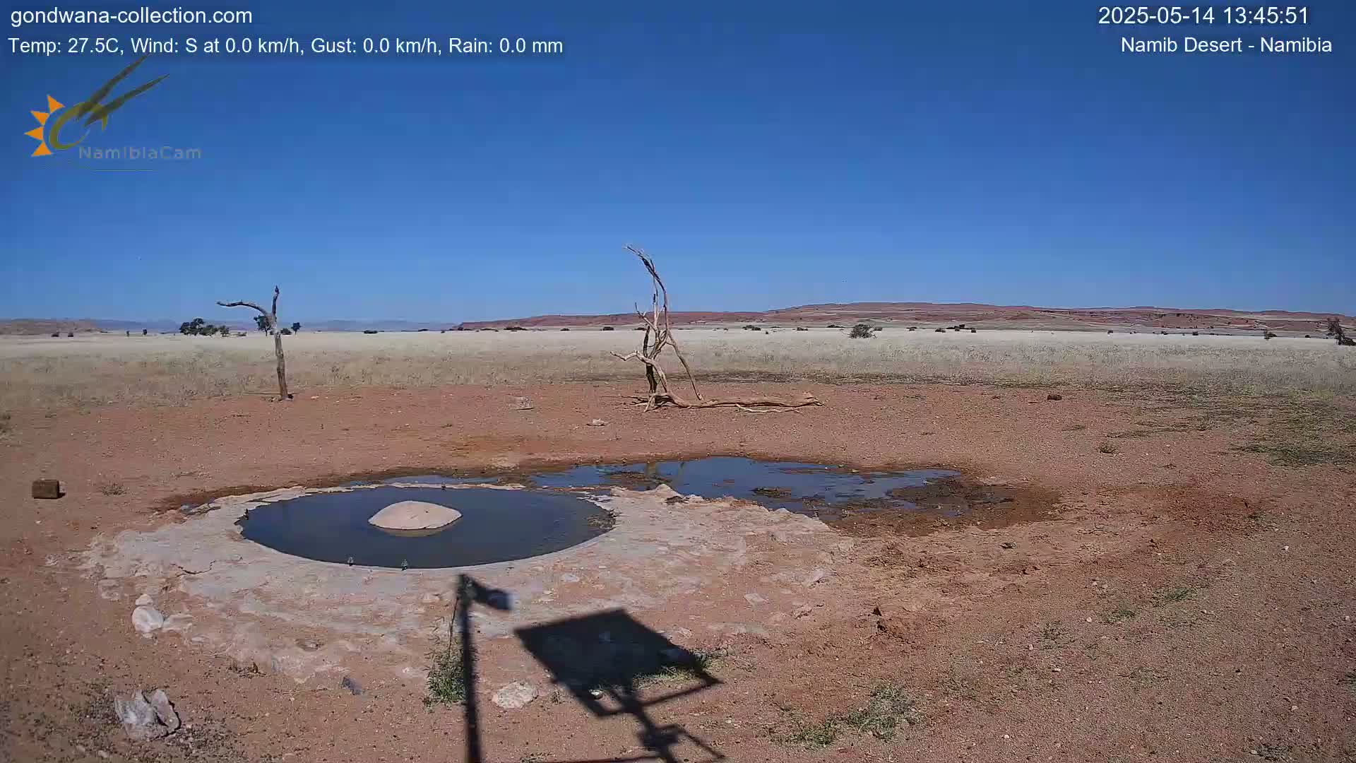 A mostly dry, reddish-brown landscape with a small, dark pool of water and a few dead trees under a clear blue sky.