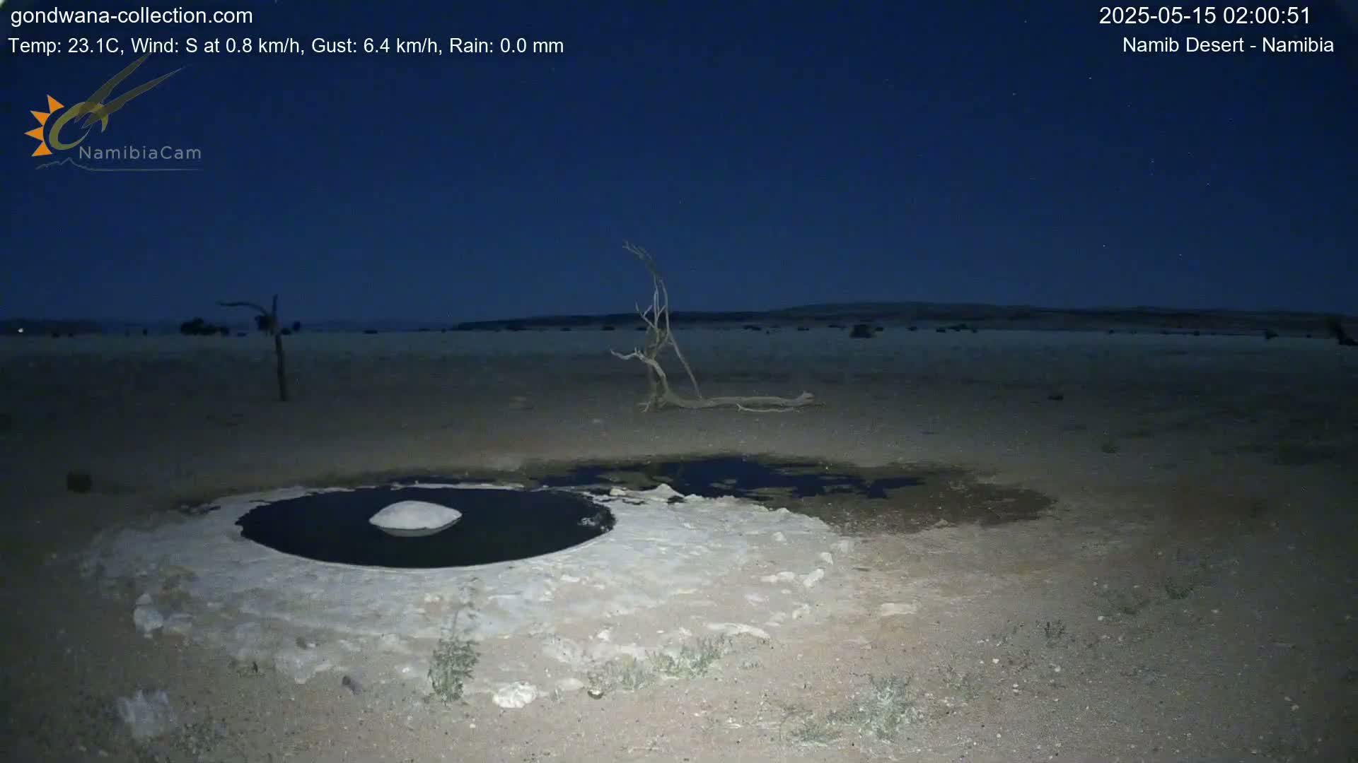 Wild Life in Namib Desert Naukluft National Park Live Cam - Maltahohe, Hardap,  Namibia