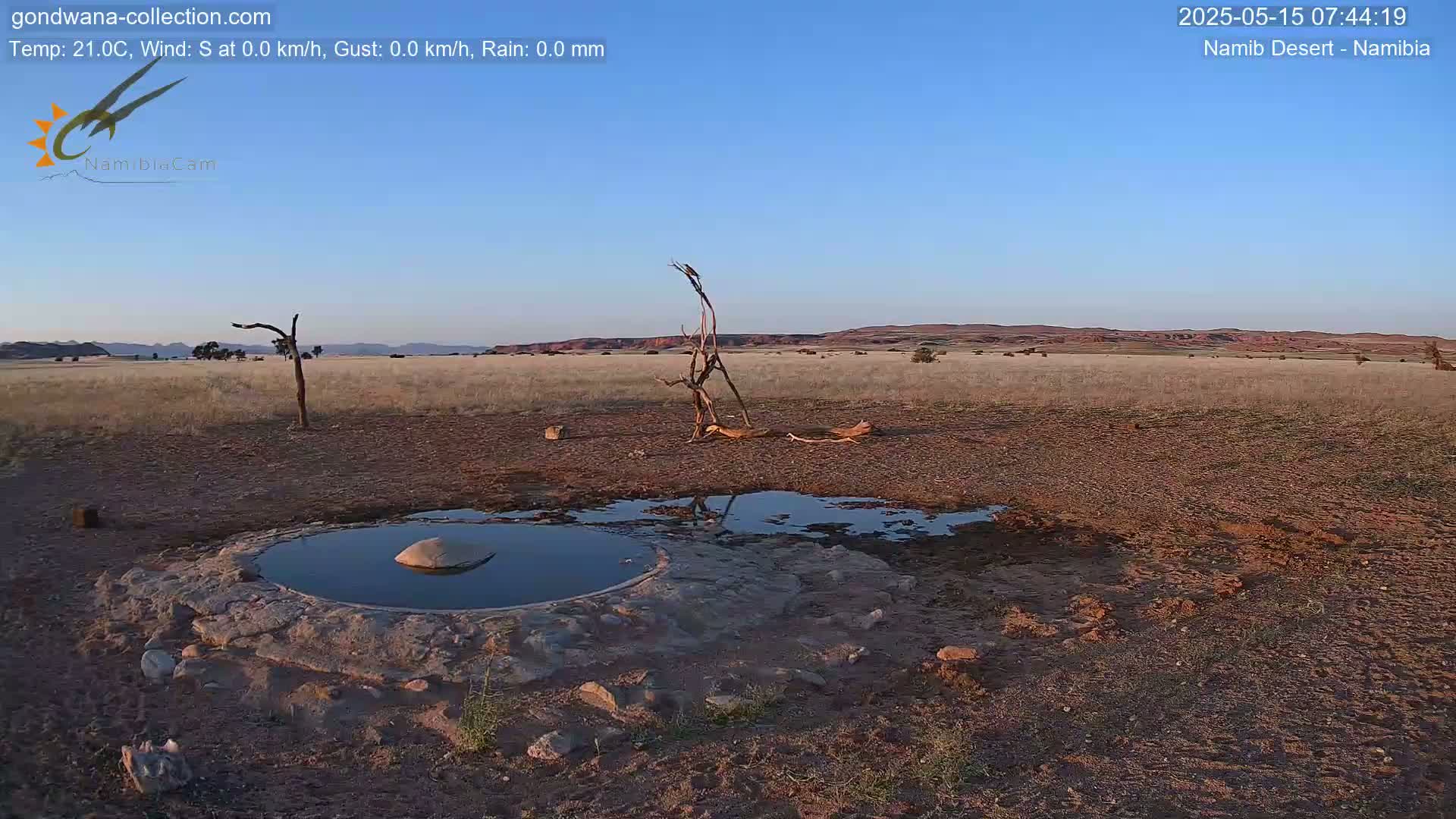 Wild Life in Namib Desert Naukluft National Park Live Cam - Maltahohe, Hardap,  Namibia