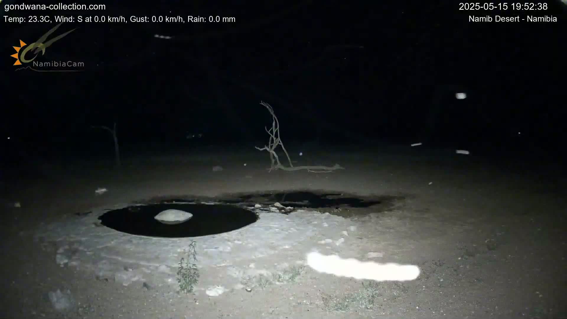 A dark, nighttime scene shows a small, dark pool of water surrounded by light-colored ground, with sparse vegetation and some small, bright objects possibly falling from the sky.
