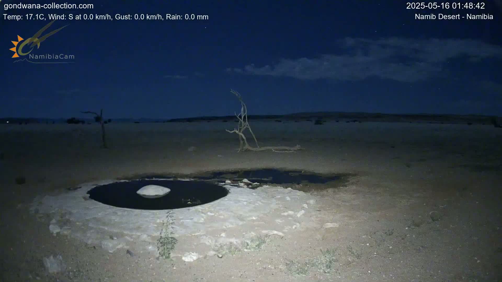 Wild Life in Namib Desert Naukluft National Park Live Cam - Maltahohe, Hardap,  Namibia