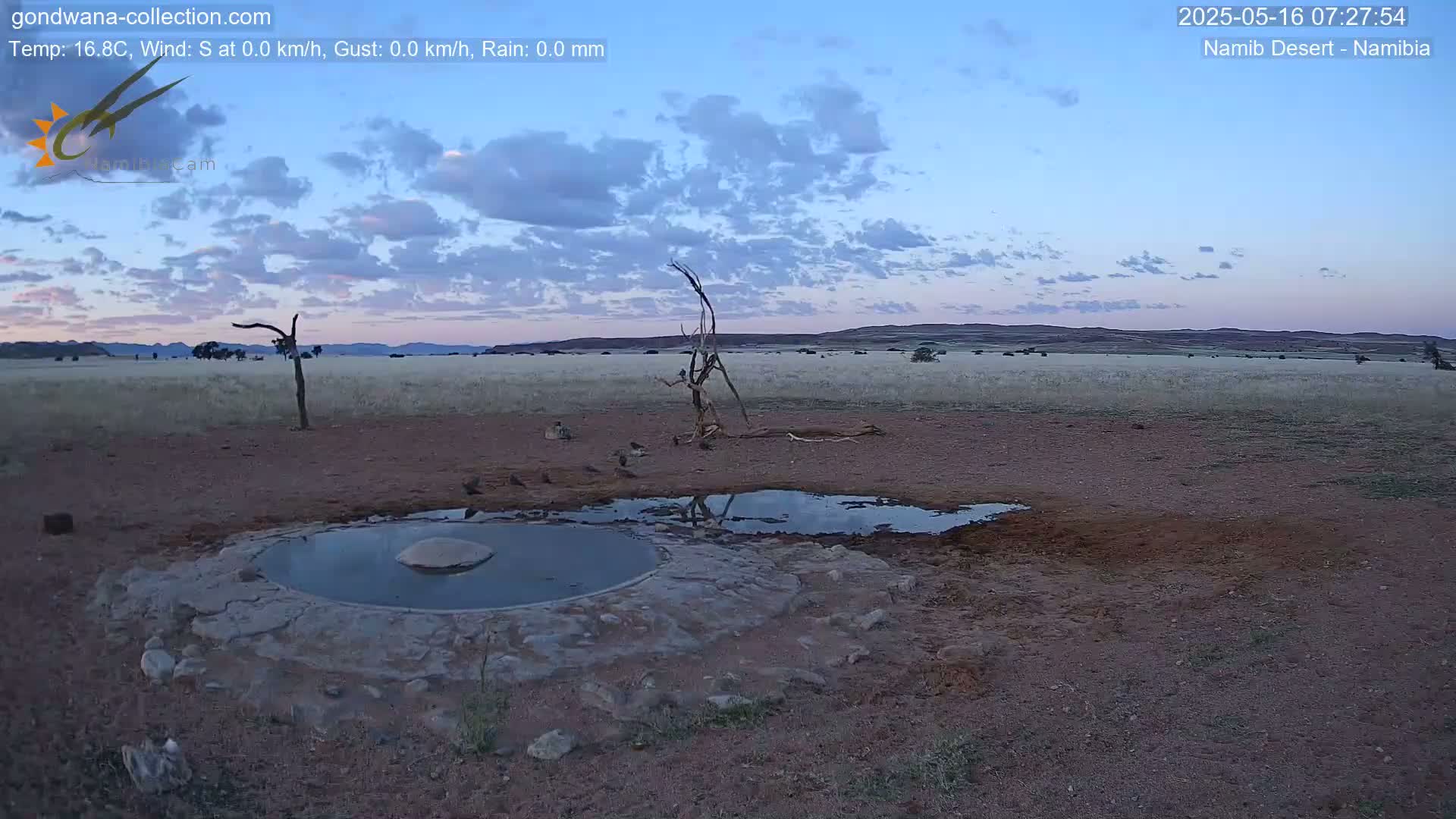 Wild Life in Namib Desert Naukluft National Park Live Cam - Maltahohe, Hardap,  Namibia
