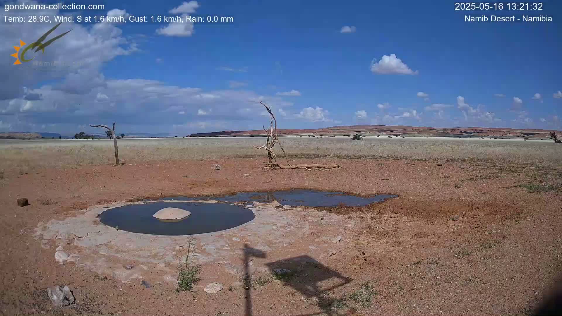 Under a mostly sunny sky with some scattered clouds, a small, shallow pool of water sits in a dry, reddish-brown landscape with a dead tree and sparse vegetation.