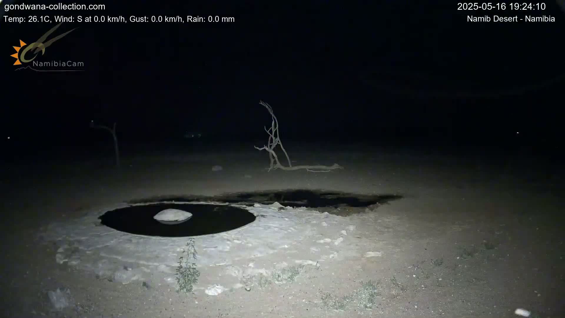 A dark, nighttime scene shows a small, dark pool of water surrounded by light-colored, sandy ground, with a barren, leafless tree in the background under a clear, starless sky.