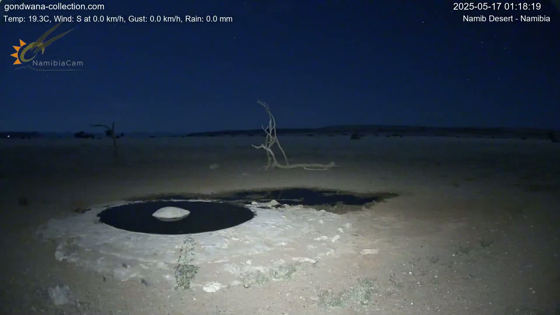 Wild Life in Namib Desert Naukluft National Park Live Cam - Maltahohe, Hardap,  Namibia