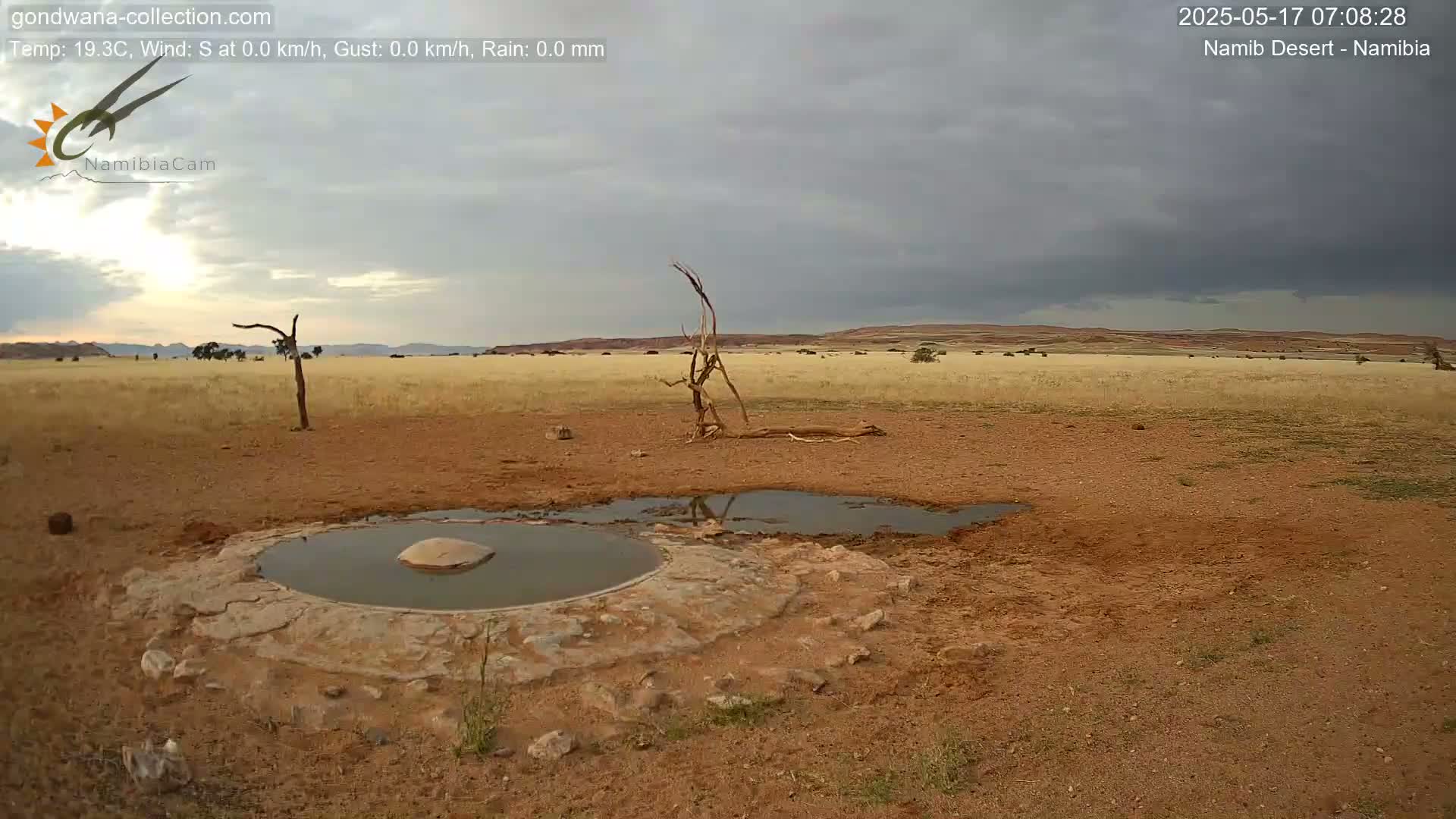 Wild Life in Namib Desert Naukluft National Park Live Cam - Maltahohe, Hardap,  Namibia