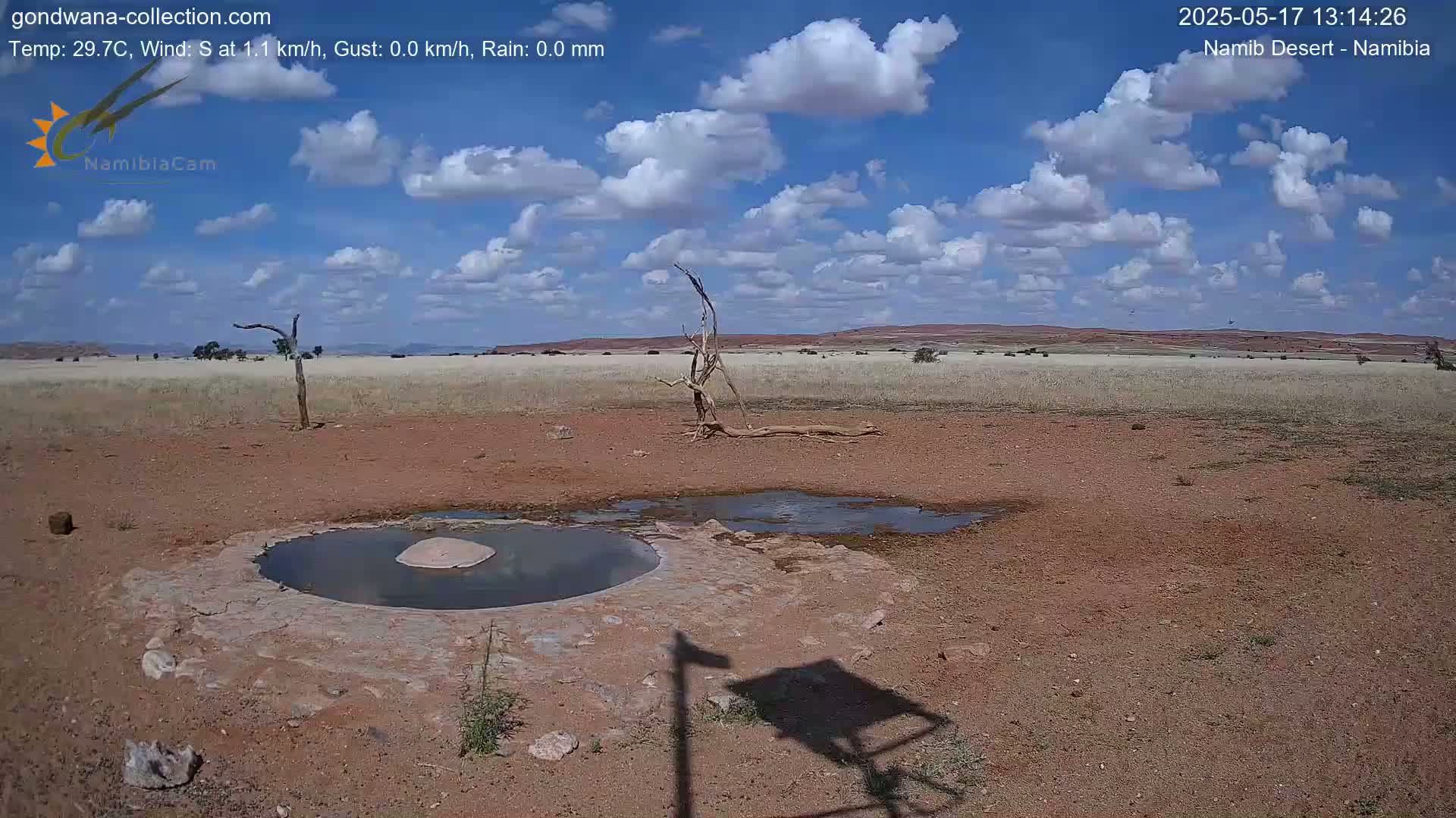 A mostly sunny day with some cumulus clouds over a dry, reddish-brown landscape featuring a small watering hole and a dead tree.