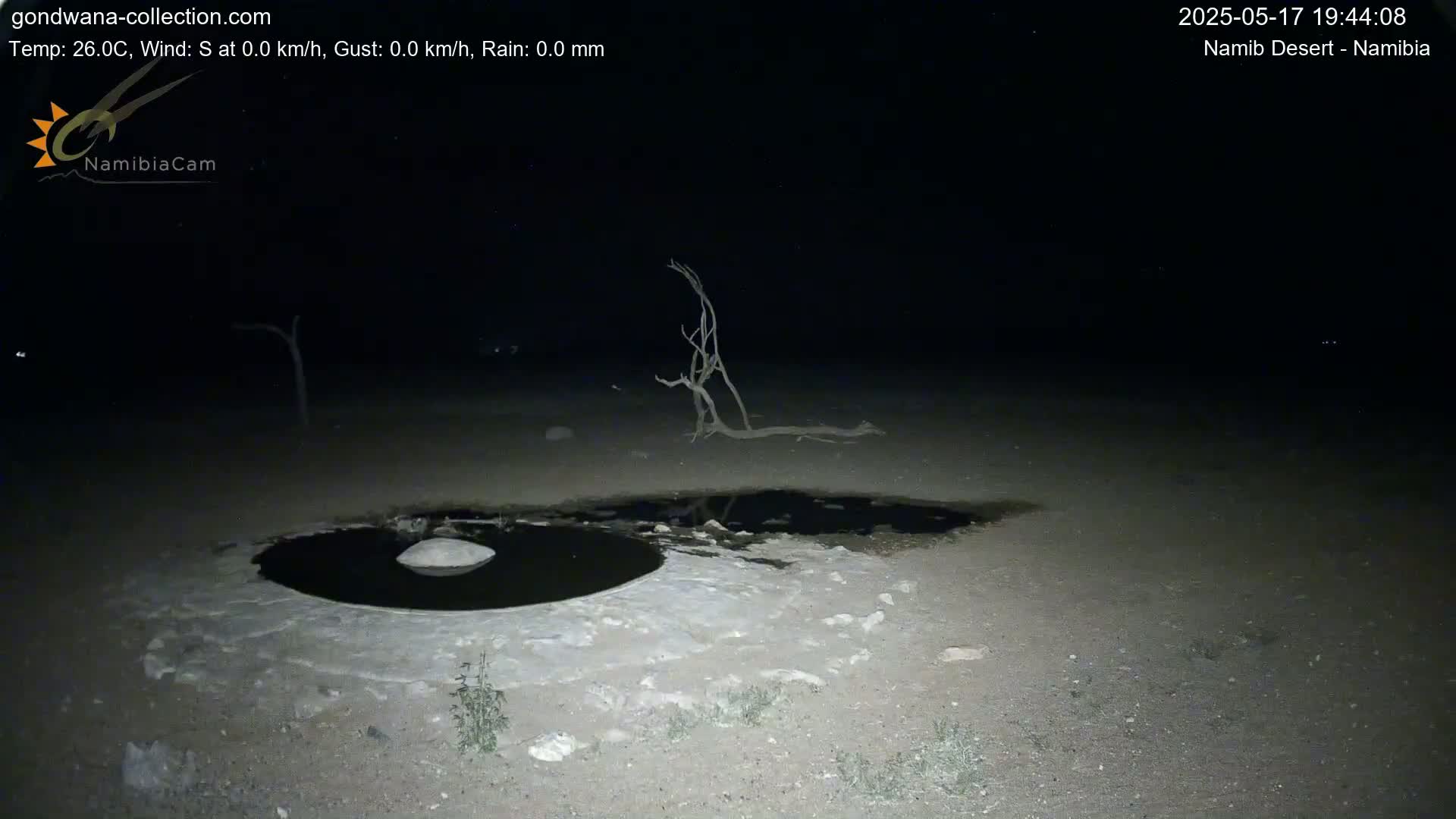 A dark, nighttime scene in the Namib Desert shows a small, dark pool of water surrounded by light-colored, sandy ground with a few sparse, dead shrubs.