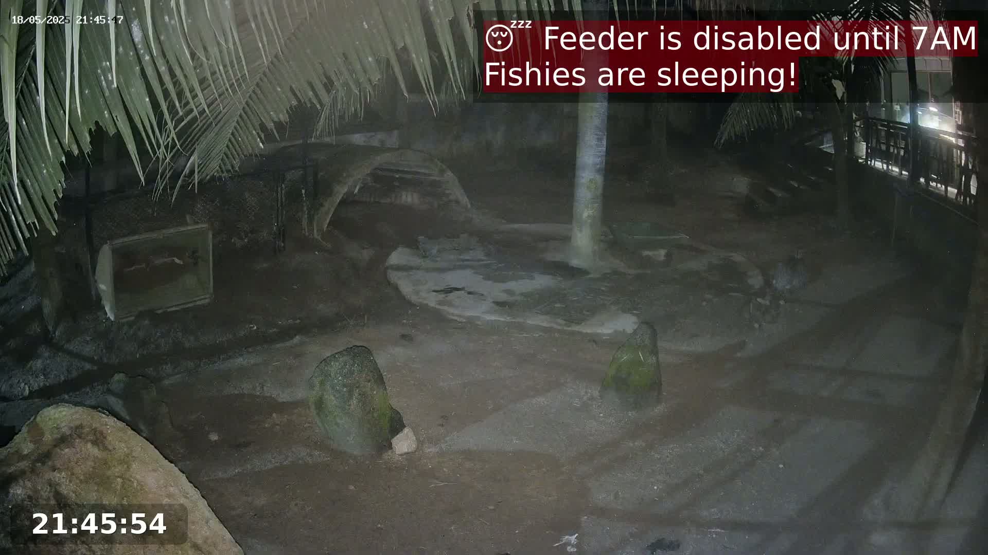 A nighttime outdoor scene shows a dark, sandy area with large rocks and a tree trunk, under palm fronds.