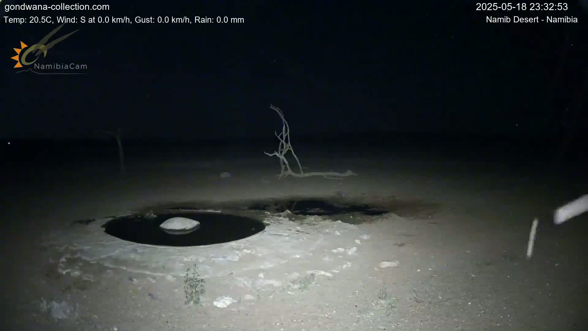 A dark, nighttime scene in a desert shows a small, dark pool of water surrounded by light-colored sand, with a dead tree branch nearby under a clear, starlit sky.
