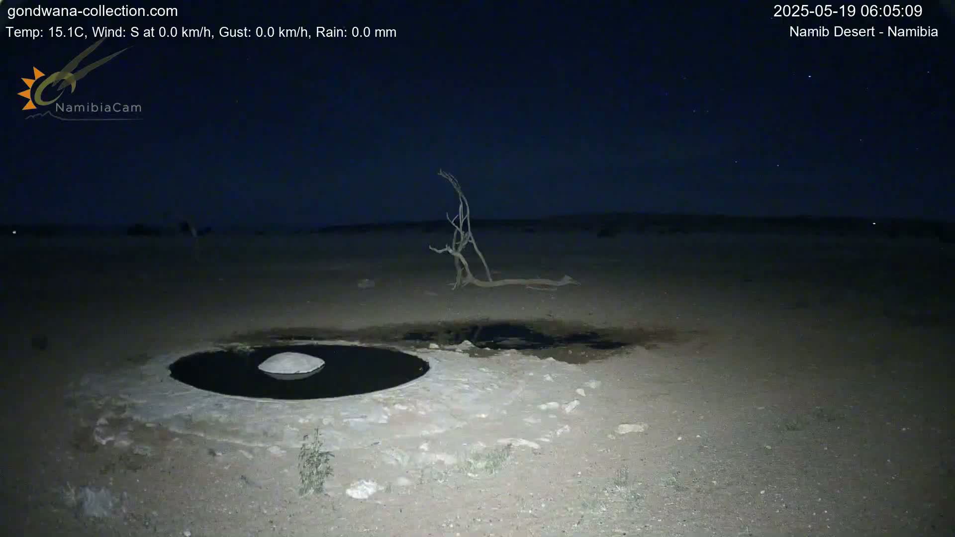 Wild Life in Namib Desert Naukluft National Park Live Cam - Maltahohe, Hardap,  Namibia