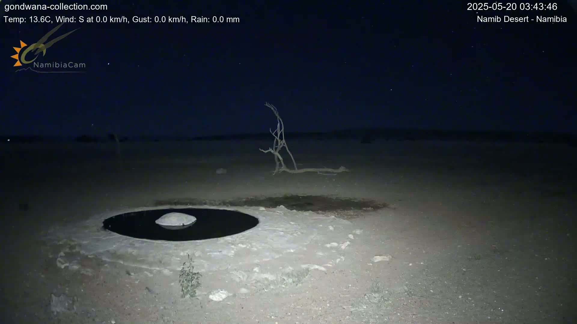 Under a clear, starry night sky, a dark pool of water sits in the center of a light-colored, barren desert landscape, with a dead tree to the right.
