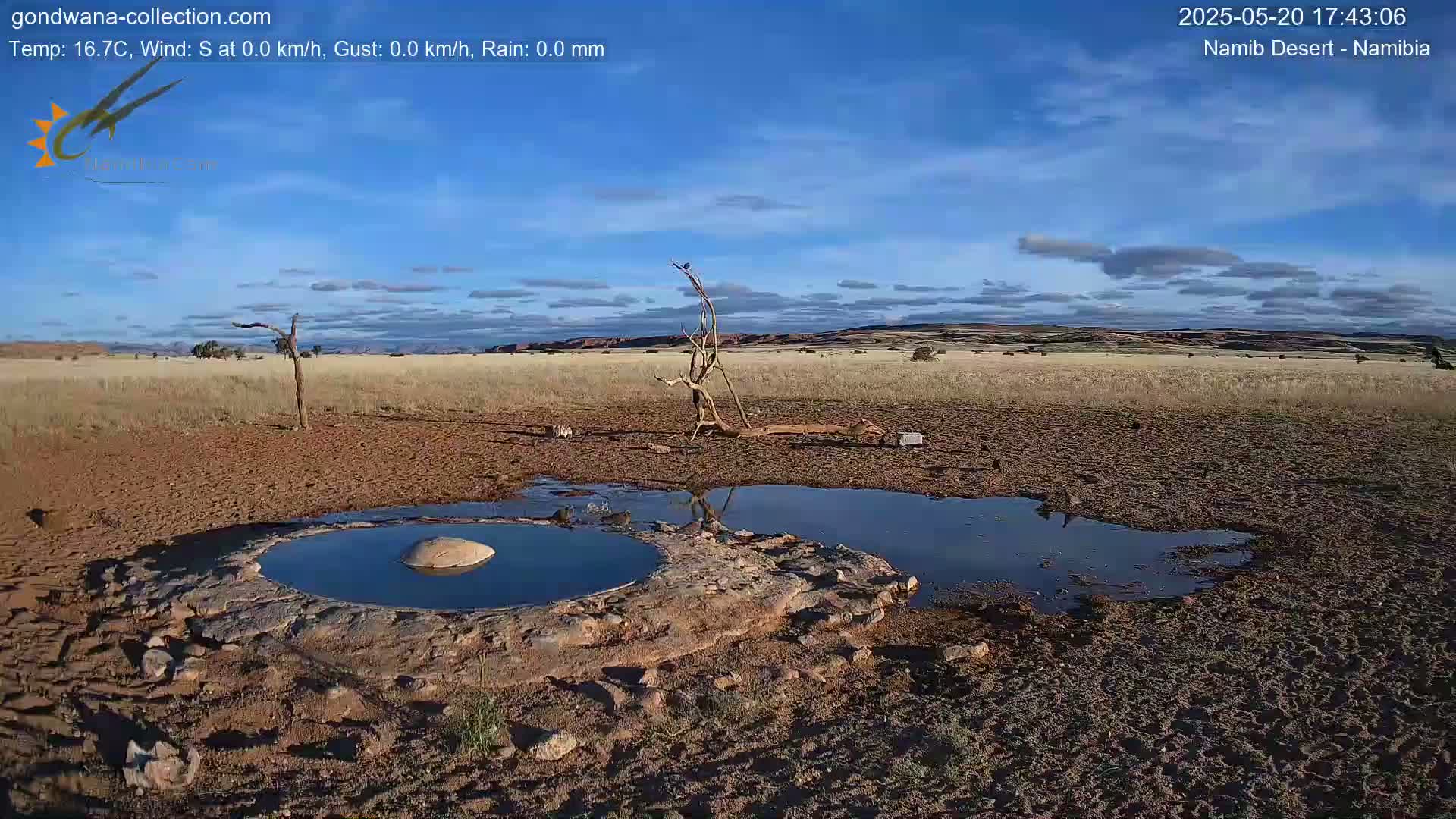 A small, mostly dry watering hole with a few birds near it sits in a sandy, dry landscape under a mostly clear blue sky.