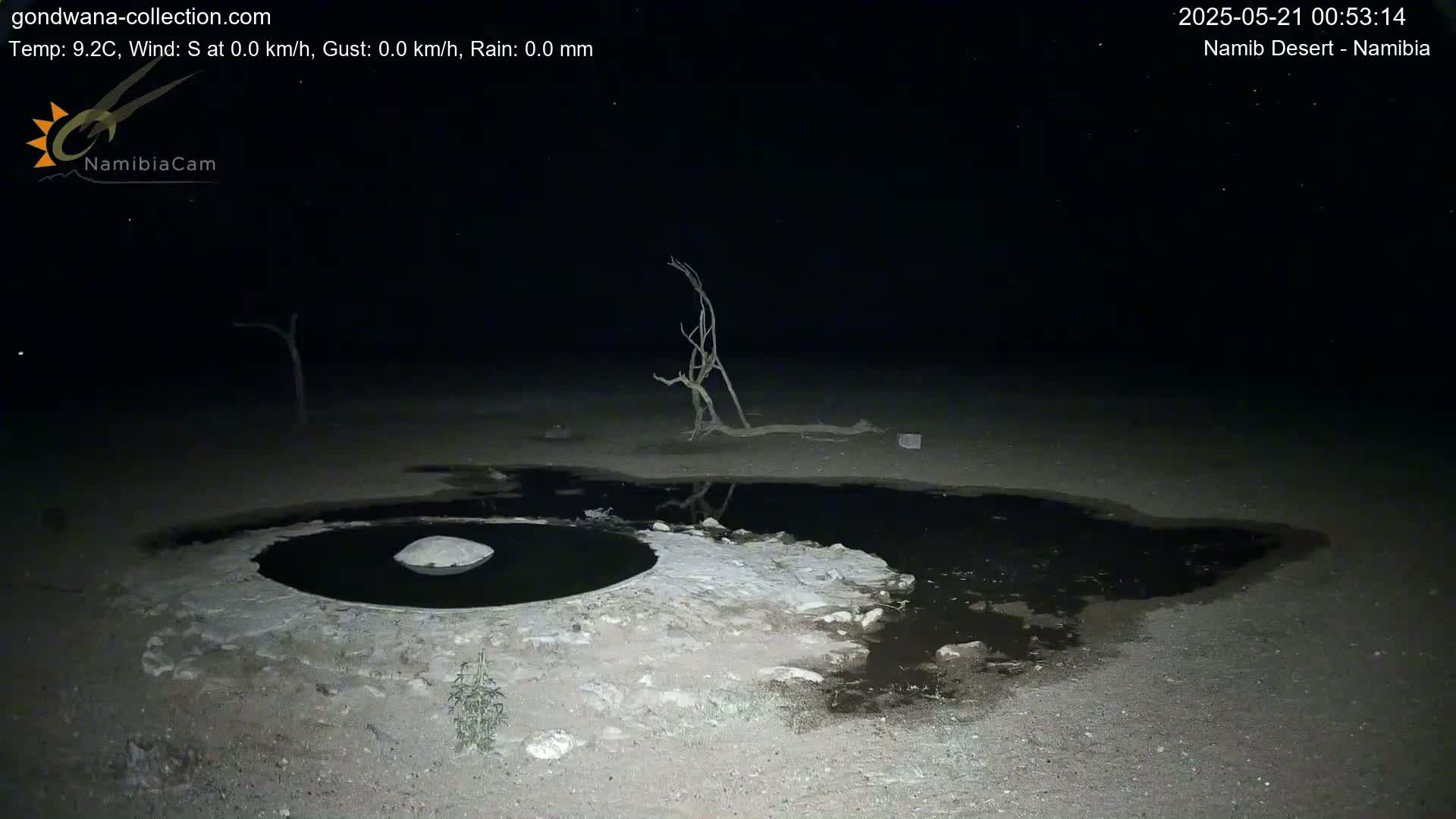 Wild Life in Namib Desert Naukluft National Park Live Cam - Maltahohe, Hardap,  Namibia
