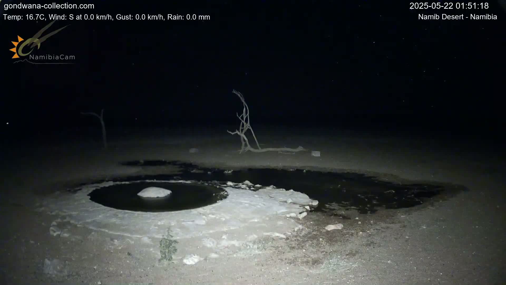 A dark, nighttime scene shows a small, dark pool of water surrounded by a lighter-colored, possibly salt-encrusted area, with a few dead trees in the background under a clear, starry sky.