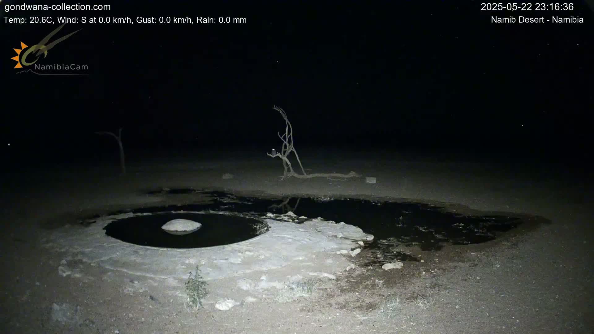 A dark, nighttime scene shows a small, dark pool of water surrounded by light-colored, sandy ground, with a few dead trees and a rock in the pool, under a clear, starry sky.