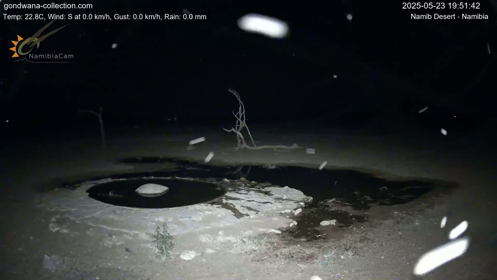 A dark, nighttime scene shows a small, dark pool of water surrounded by light-colored ground, with a dead tree and light snowfall visible.