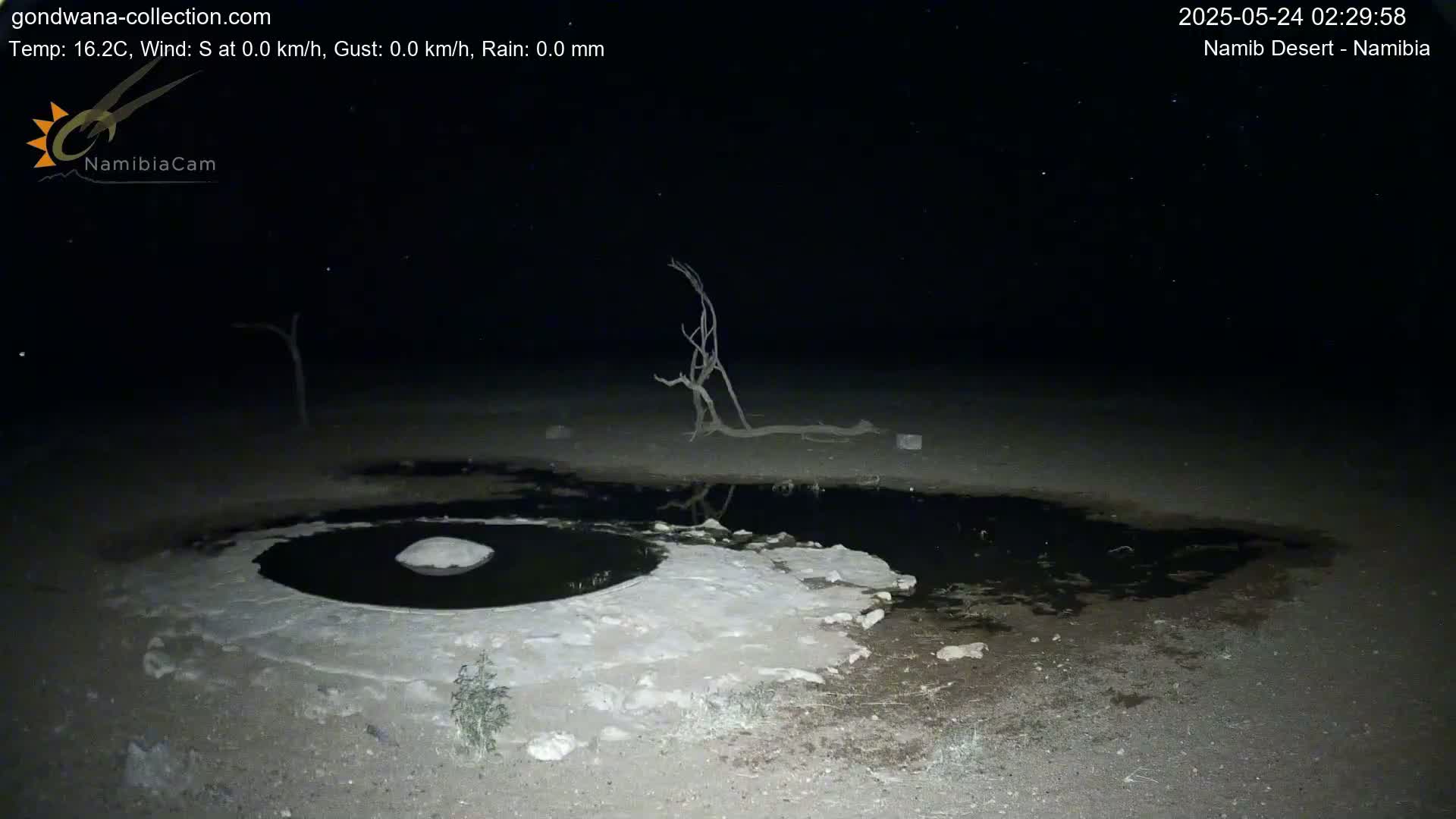 A dark, nighttime scene shows a small, dark pool of water surrounded by light-colored, possibly salt-encrusted, ground with a dead tree reflected in the water.