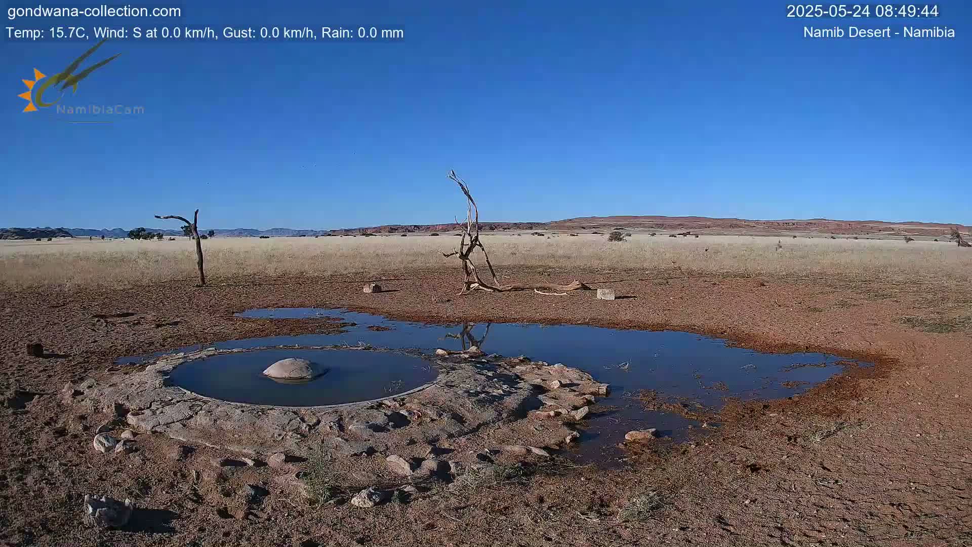 Wild Life in Namib Desert Naukluft National Park Live Cam - Maltahohe, Hardap,  Namibia