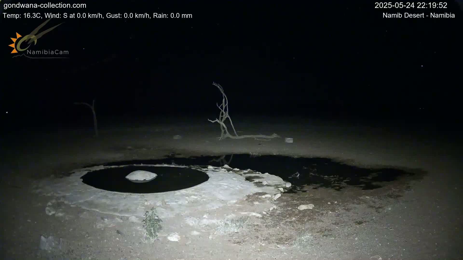 Wild Life in Namib Desert Naukluft National Park Live Cam - Maltahohe, Hardap,  Namibia