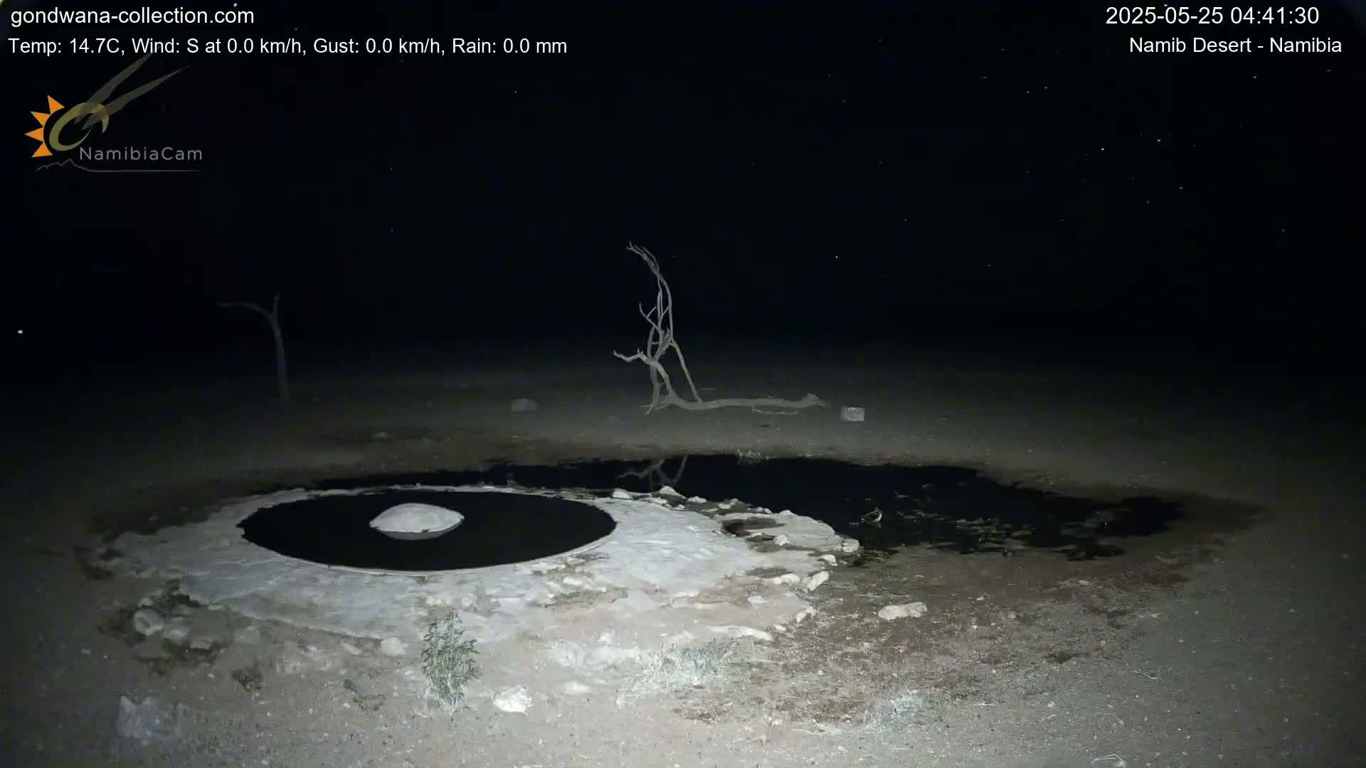 Wild Life in Namib Desert Naukluft National Park Live Cam - Maltahohe, Hardap,  Namibia