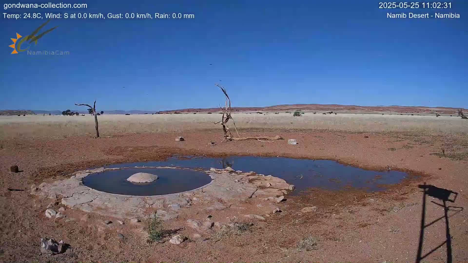 A small, shallow pool of water sits in a dry, reddish-brown desert landscape under a clear blue sky.