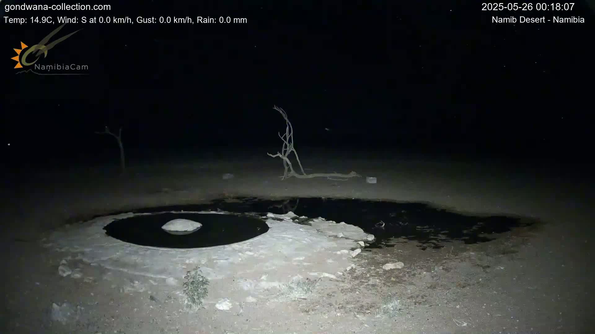 Wild Life in Namib Desert Naukluft National Park Live Cam - Maltahohe, Hardap,  Namibia