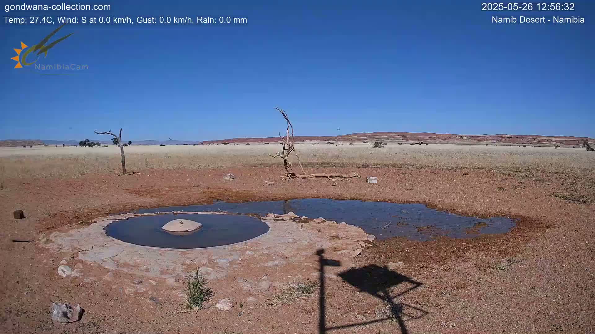 A small, shallow pool of water sits in a dry, reddish-brown desert landscape under a clear blue sky.