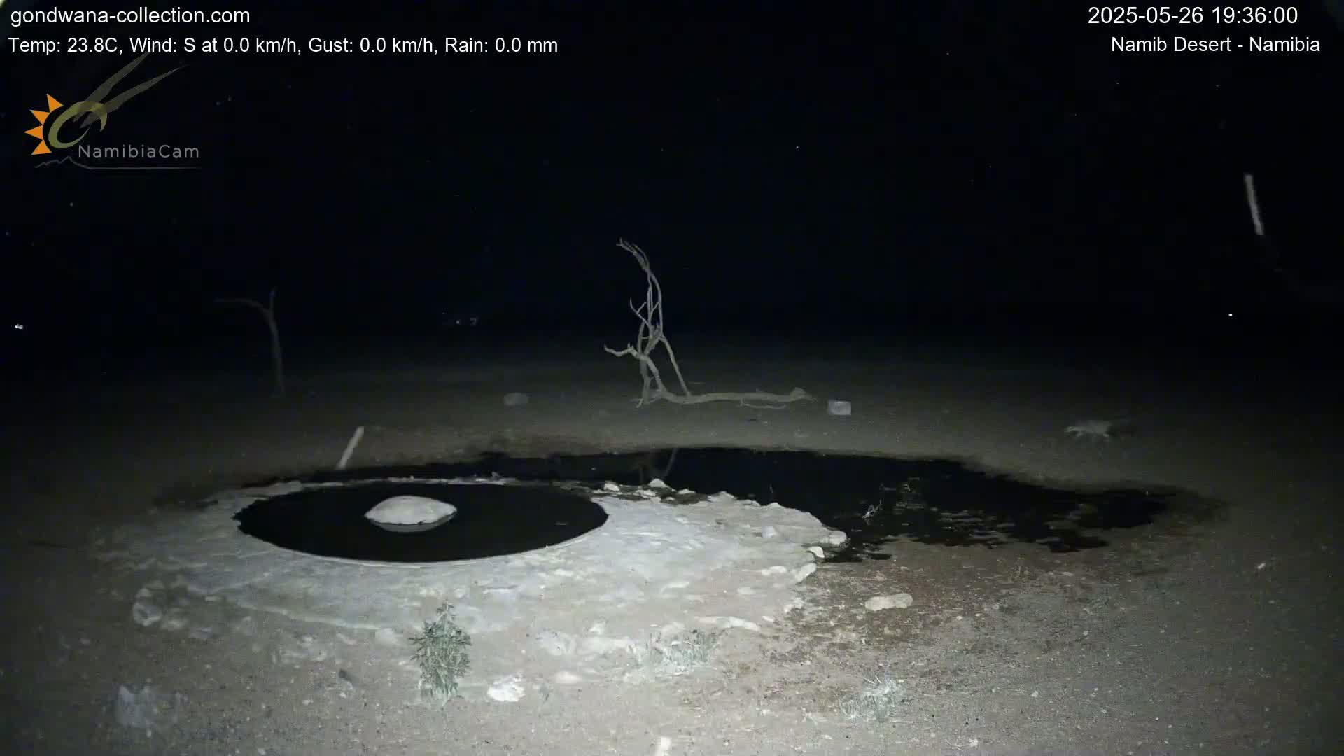 A dark, nighttime scene in the Namib Desert shows a small, dark pool of water surrounded by light-colored, sandy ground, with a few dead branches nearby under a clear, starry sky.