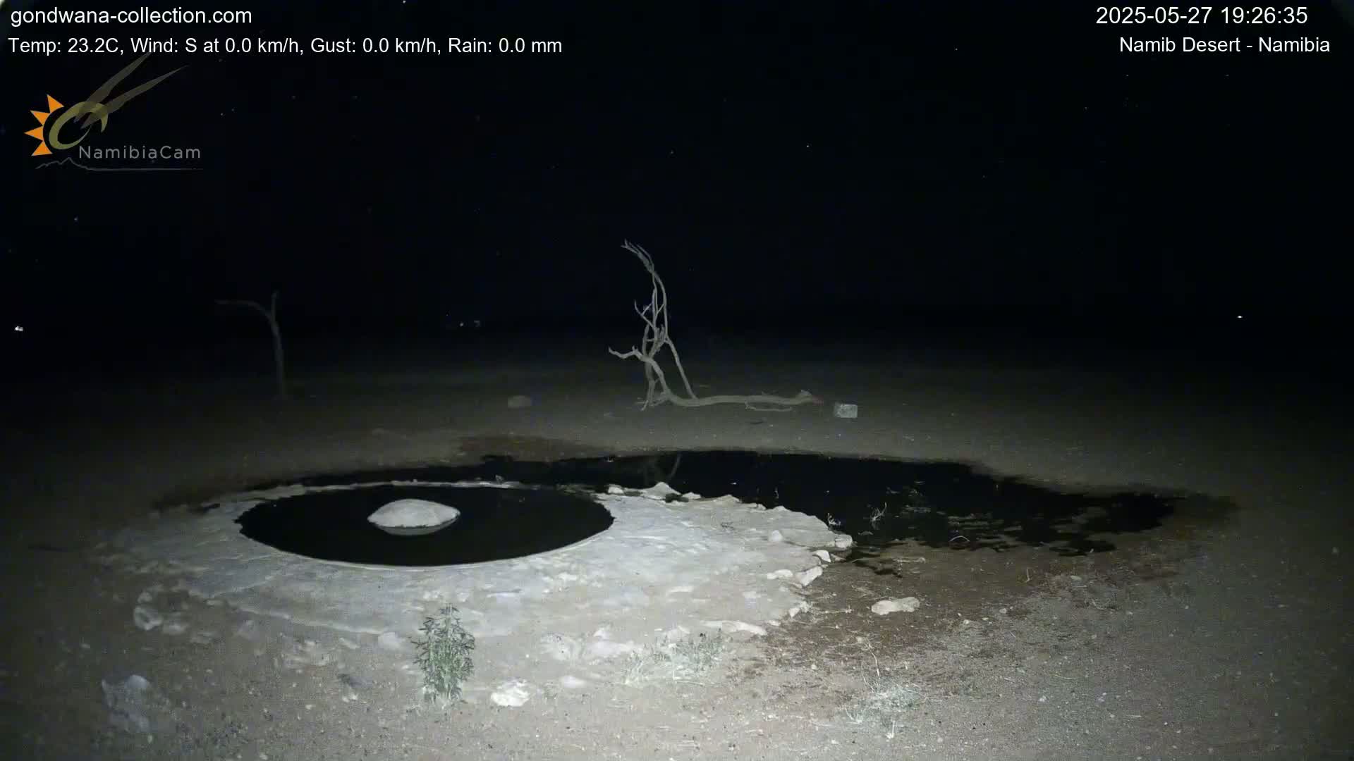 Under a clear, dark night sky, a small, dark pool of water sits in a light-colored, sandy area next to some dead branches.