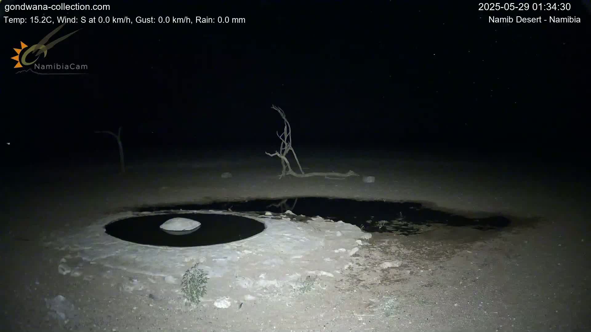 A dark, nighttime scene in the Namib Desert shows a small, dark pool of water with a rock in the center, surrounded by light-colored, dry ground and a dead tree reflected in the water.