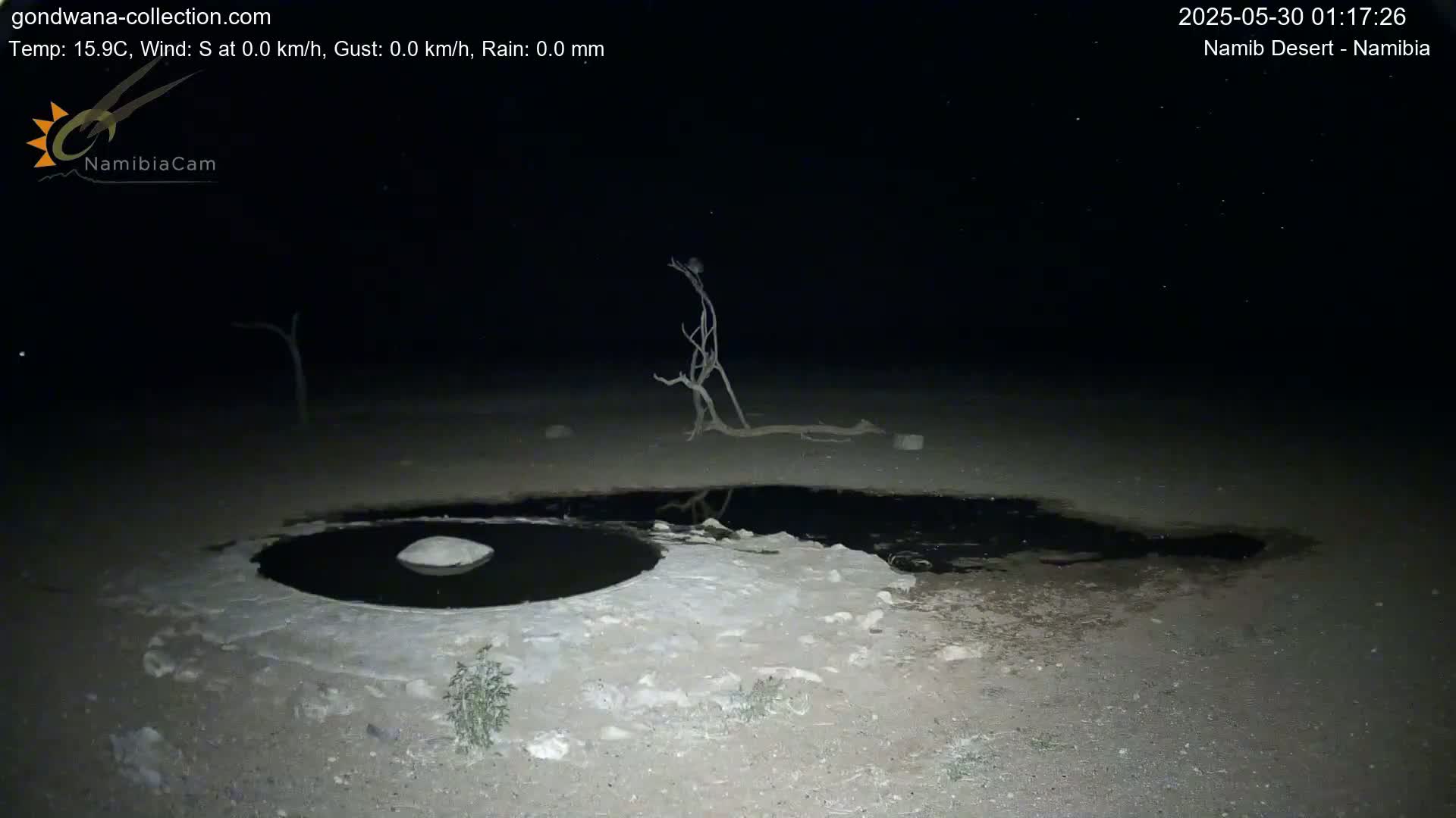 A dark, nighttime desert scene shows a small, dark pool of water surrounded by light-colored sand and a few dead trees under a clear, starry sky.