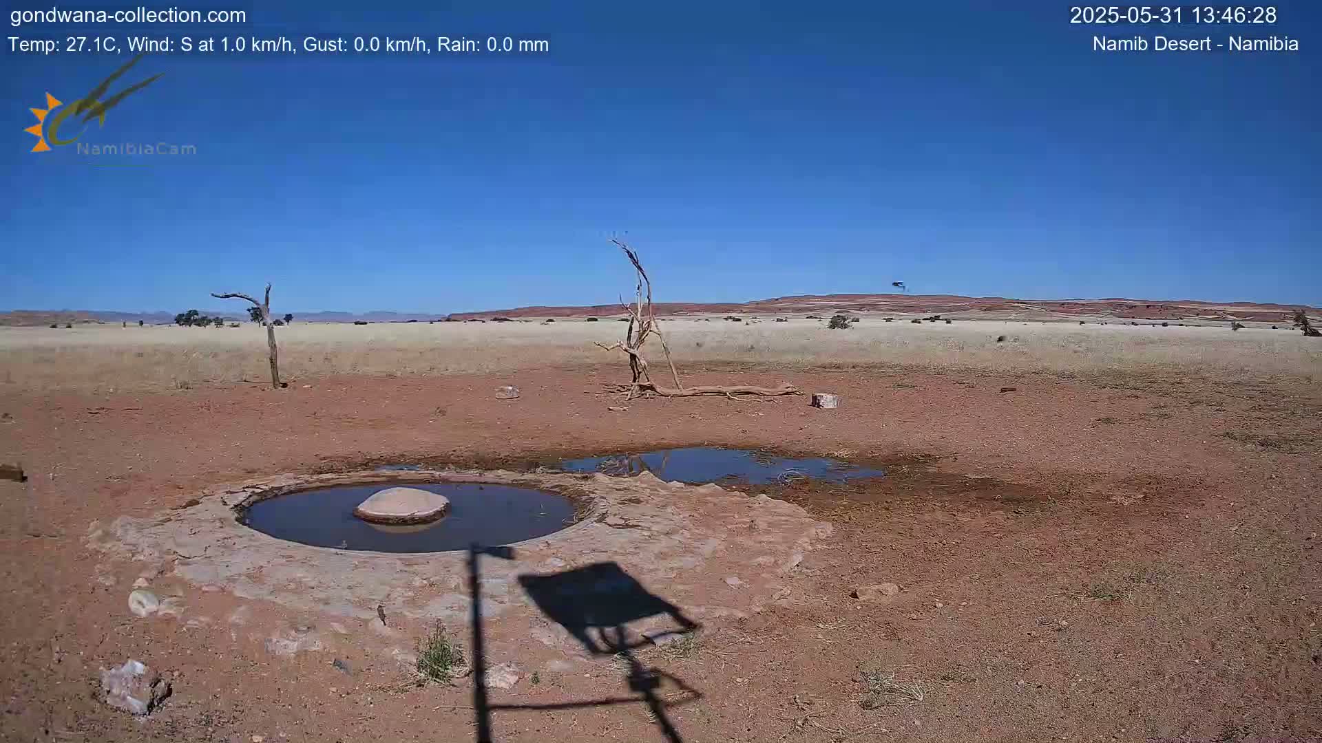 A dry, reddish-brown desert landscape under a clear blue sky shows a small, shallow pool of water near a dead tree and a larger, muddied area.