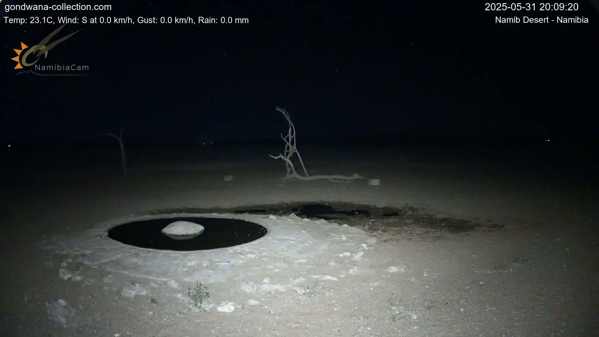 Wild Life in Namib Desert Naukluft National Park Live Cam - Maltahohe, Hardap,  Namibia