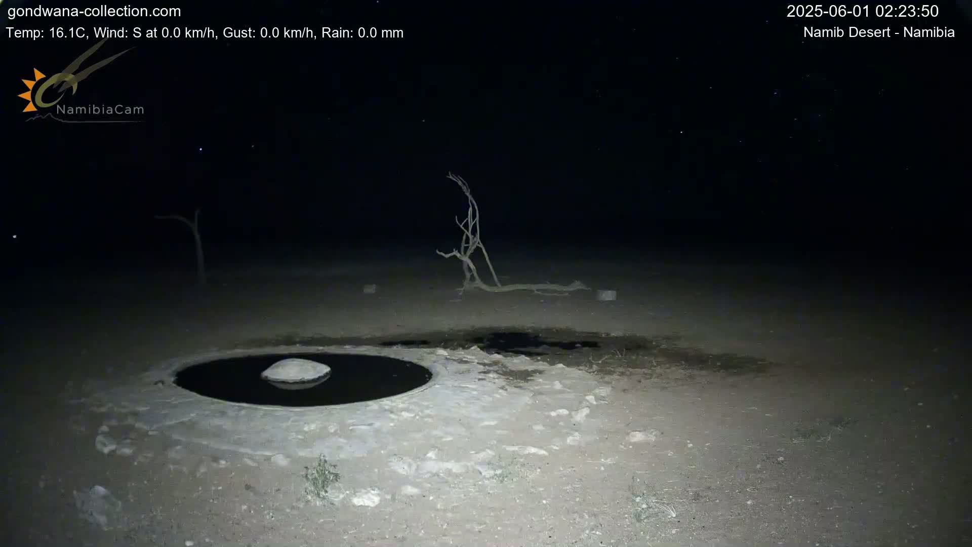 Wild Life in Namib Desert Naukluft National Park Live Cam - Maltahohe, Hardap,  Namibia