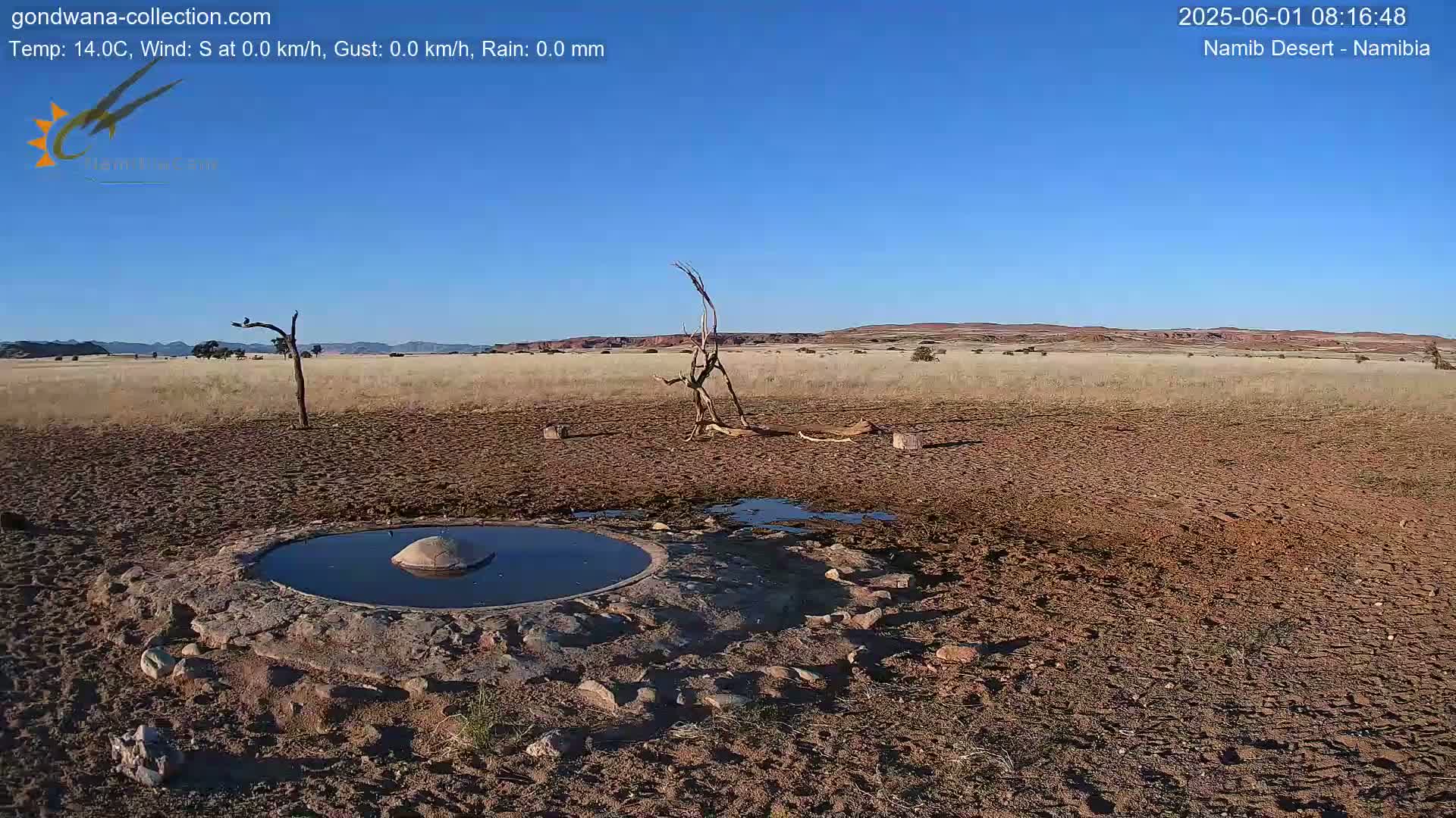 Wild Life in Namib Desert Naukluft National Park Live Cam - Maltahohe, Hardap,  Namibia