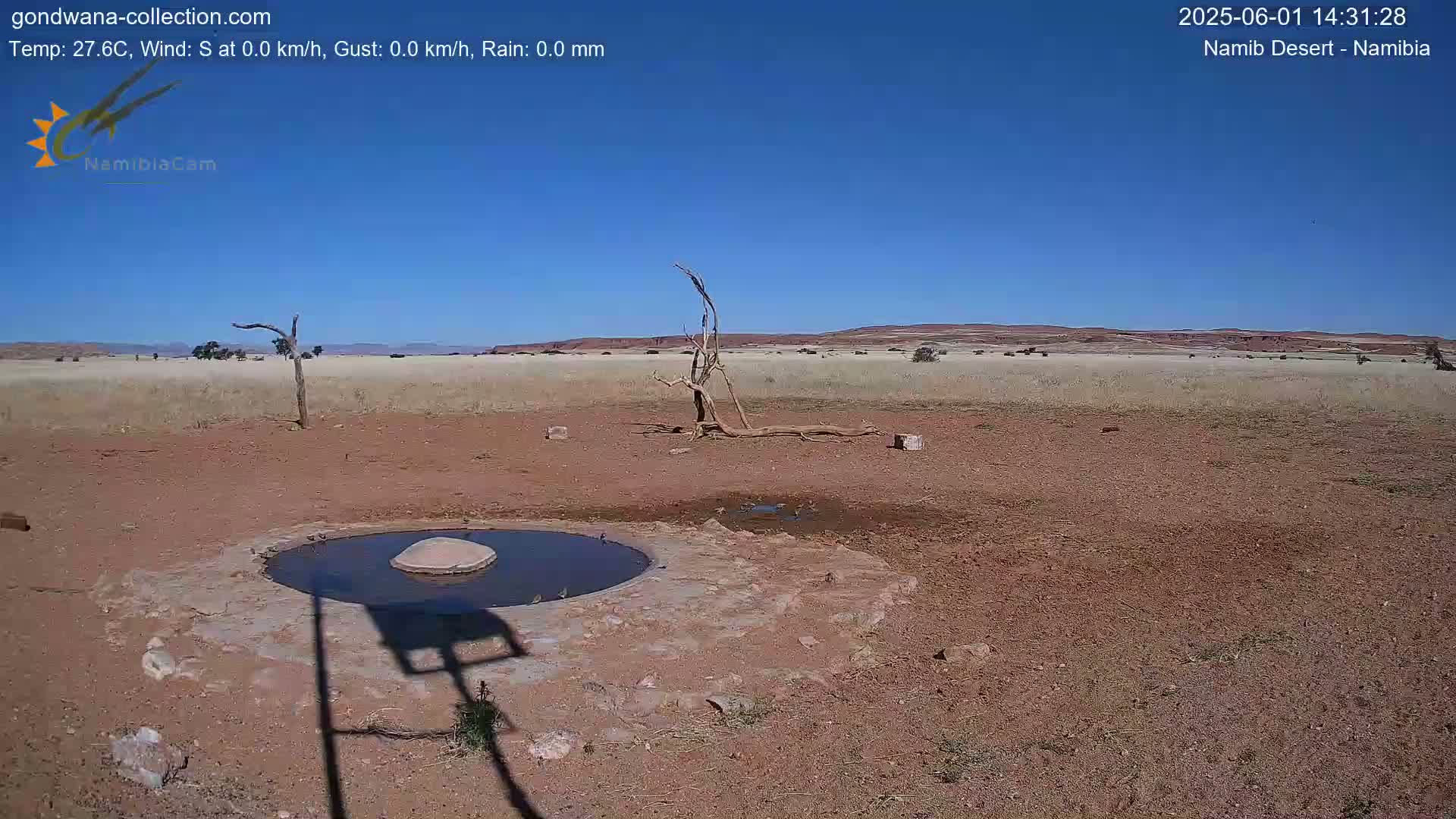 A small, shallow, dark pool of water sits in a dry, reddish-brown dirt area of the Namib Desert under a clear blue sky.