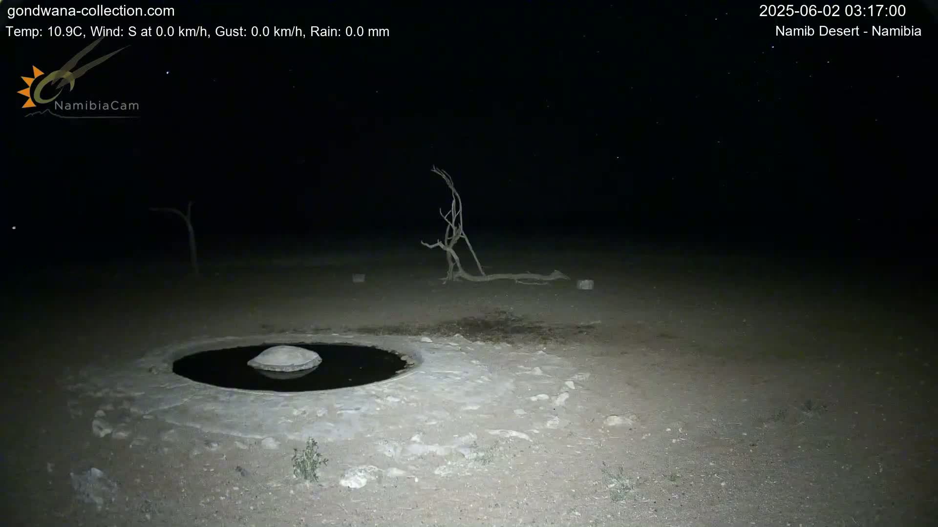 A nighttime, low-light view of a small, dark pool of water surrounded by light-colored, arid ground, with a few dead trees and scattered stones in the distance under a starry sky.
