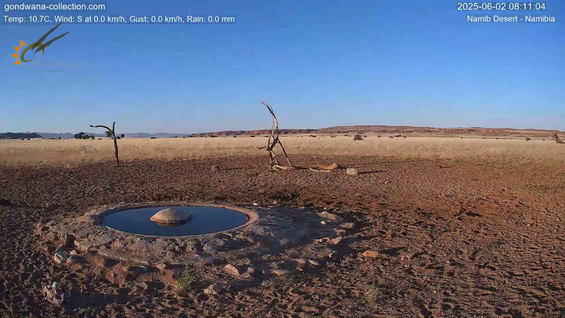 Wild Life in Namib Desert Naukluft National Park Live Cam - Maltahohe, Hardap,  Namibia
