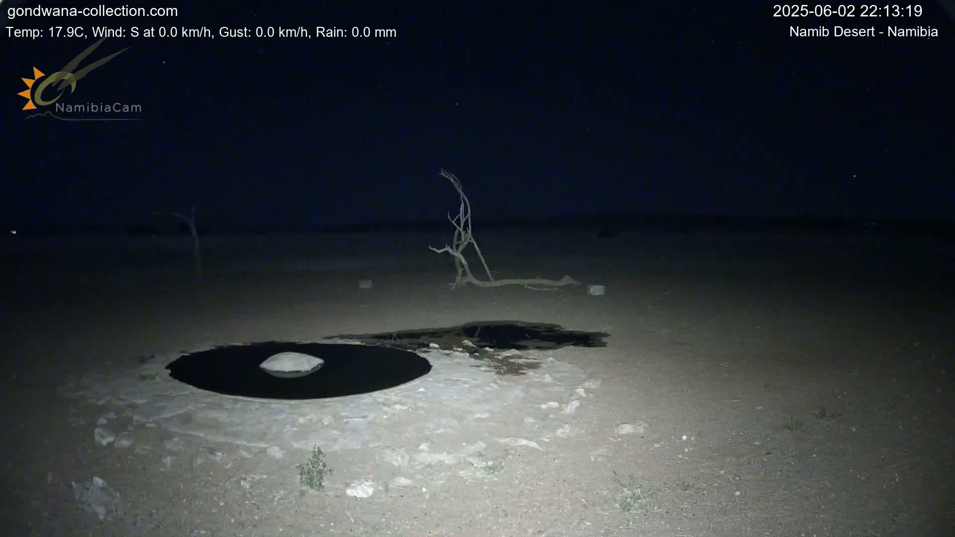 A dark, nighttime desert scene shows a small, dark pool of water with a rock in the center, surrounded by light-colored sand and a dead, gnarled tree.