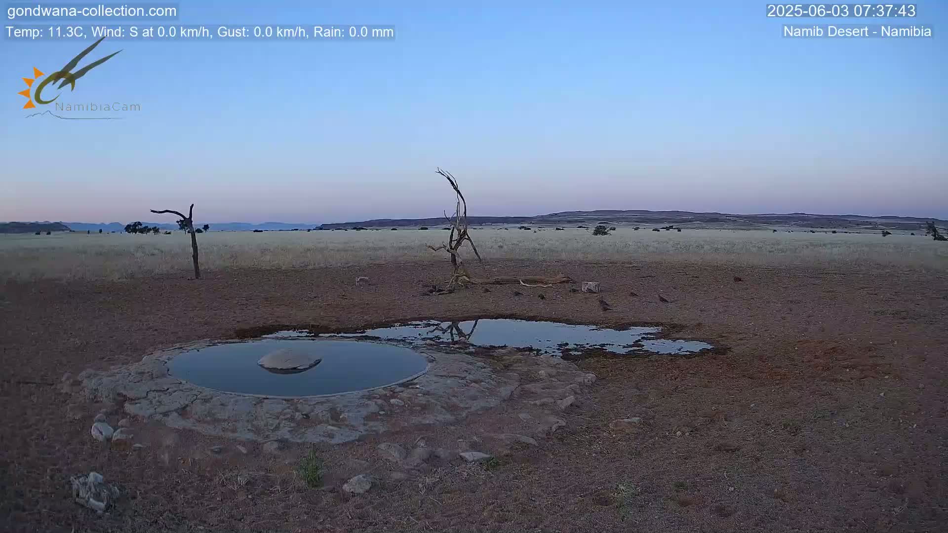 Wild Life in Namib Desert Naukluft National Park Live Cam - Maltahohe, Hardap,  Namibia
