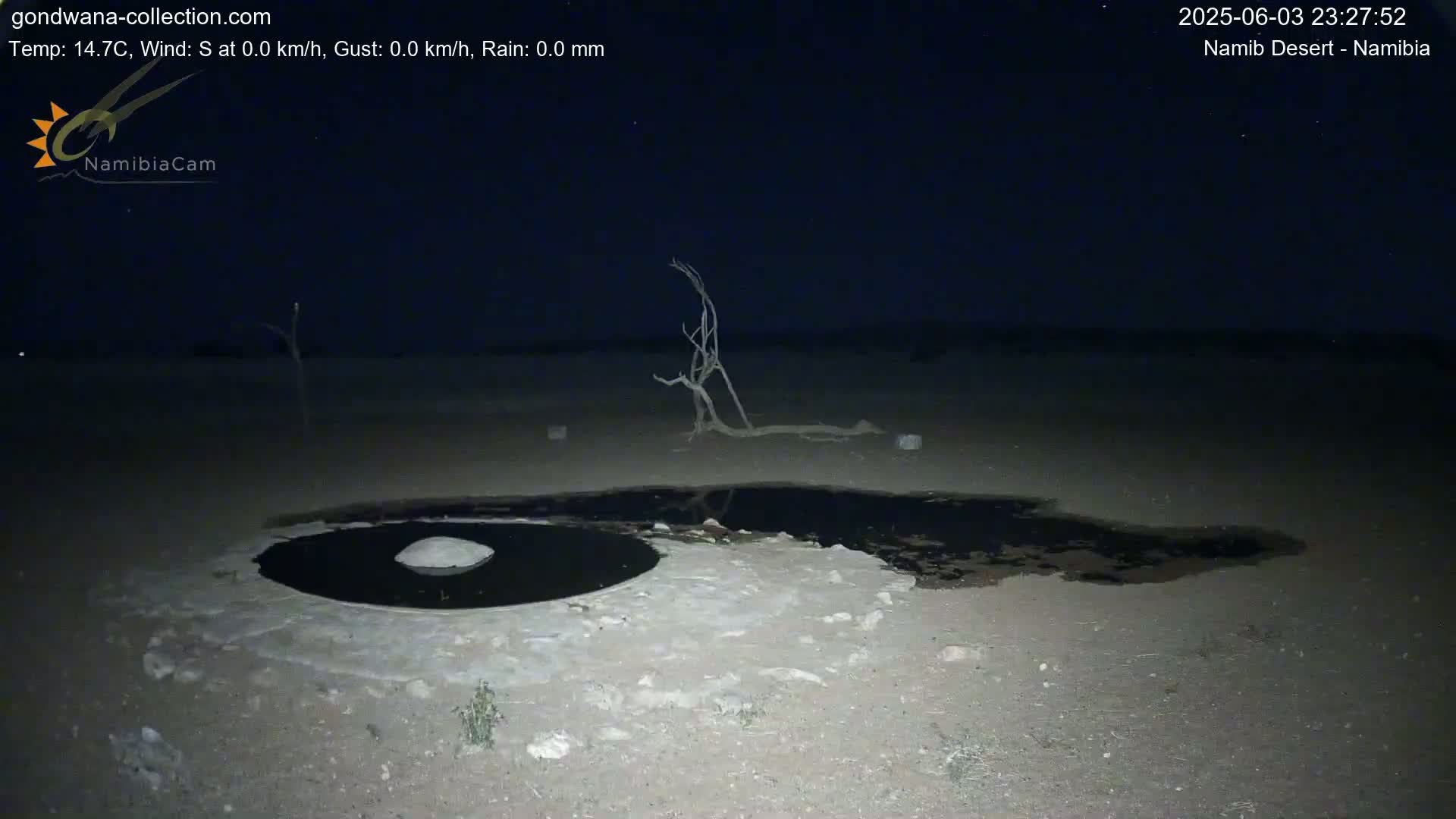 A dark, still night scene shows a shallow pool of water next to a dead tree in a desert landscape.